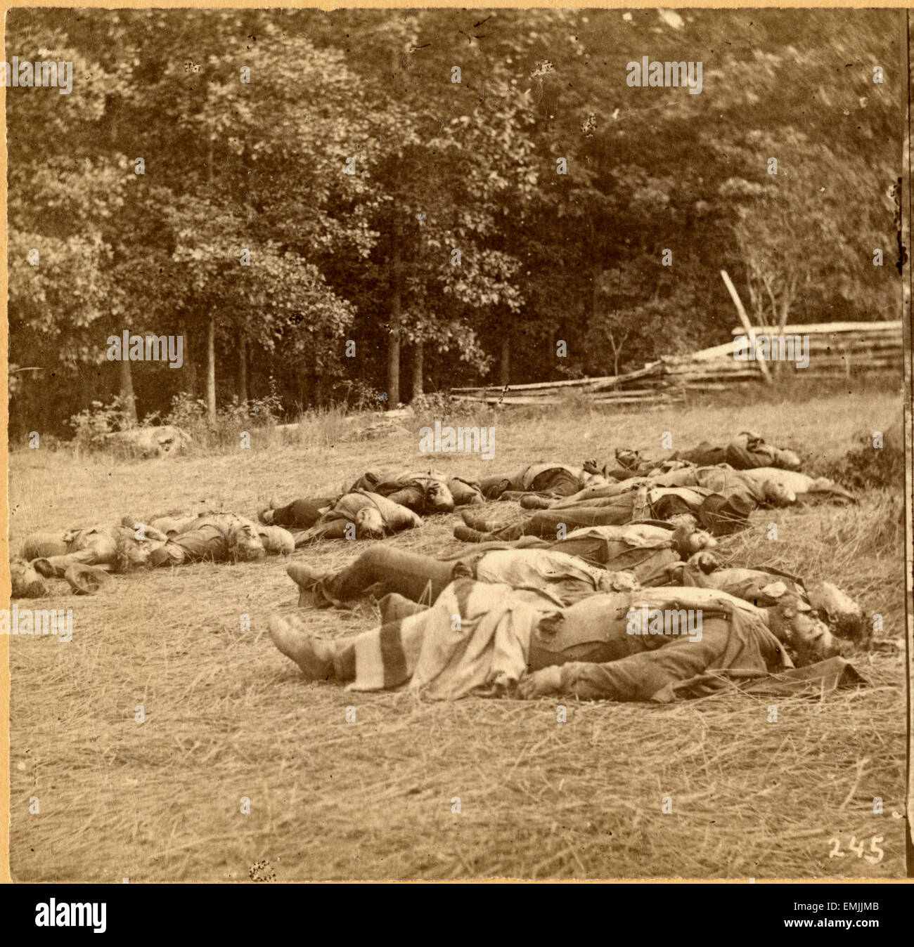 "Union bei Gettysburg. tot" #245, Bürgerkrieg, einzelnes Bild Stereo-Karte ca. 1863 Stockfoto