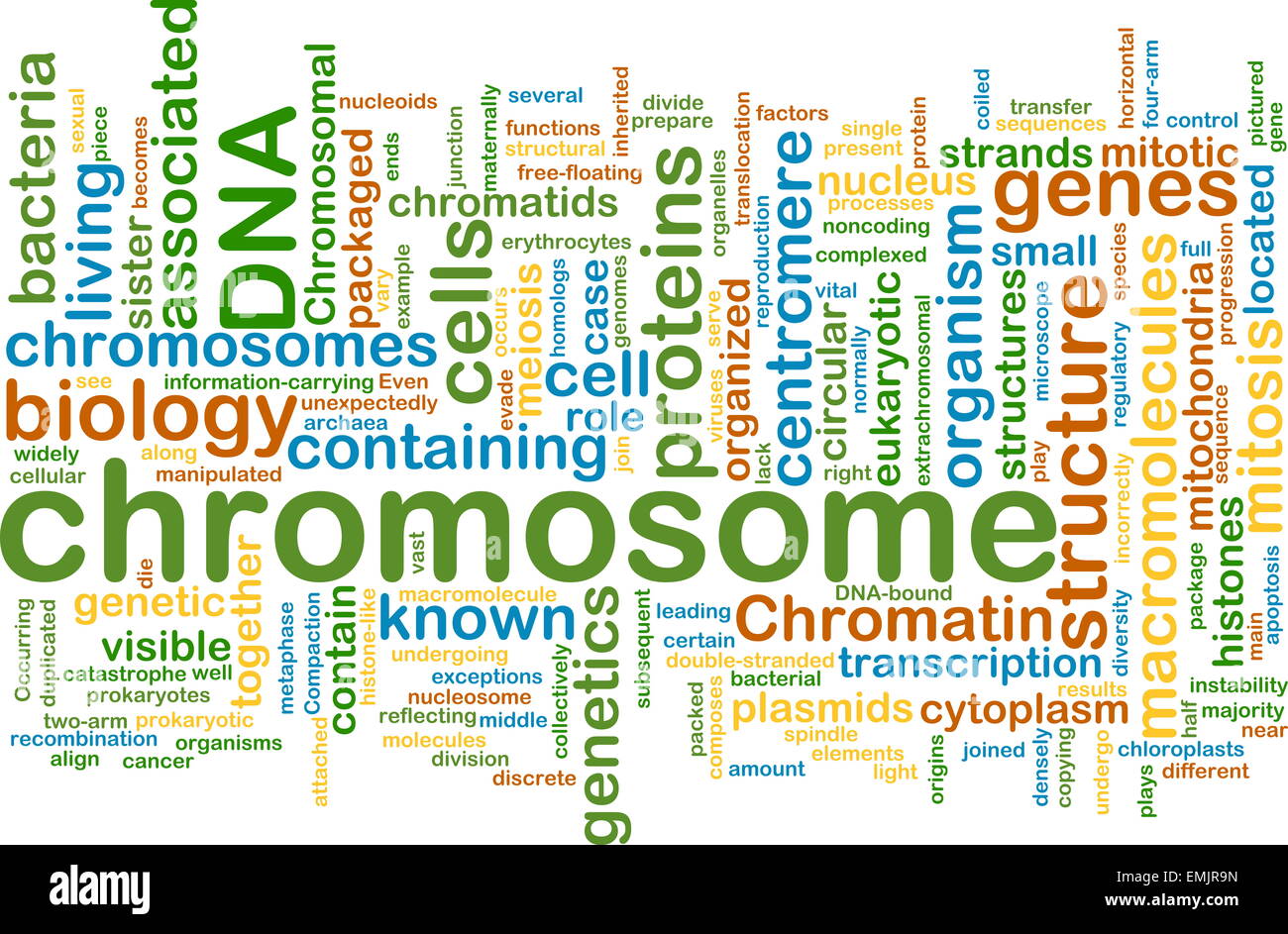 Hintergrund Text Muster Konzept Wordcloud Illustration des Chromosoms Stockfoto