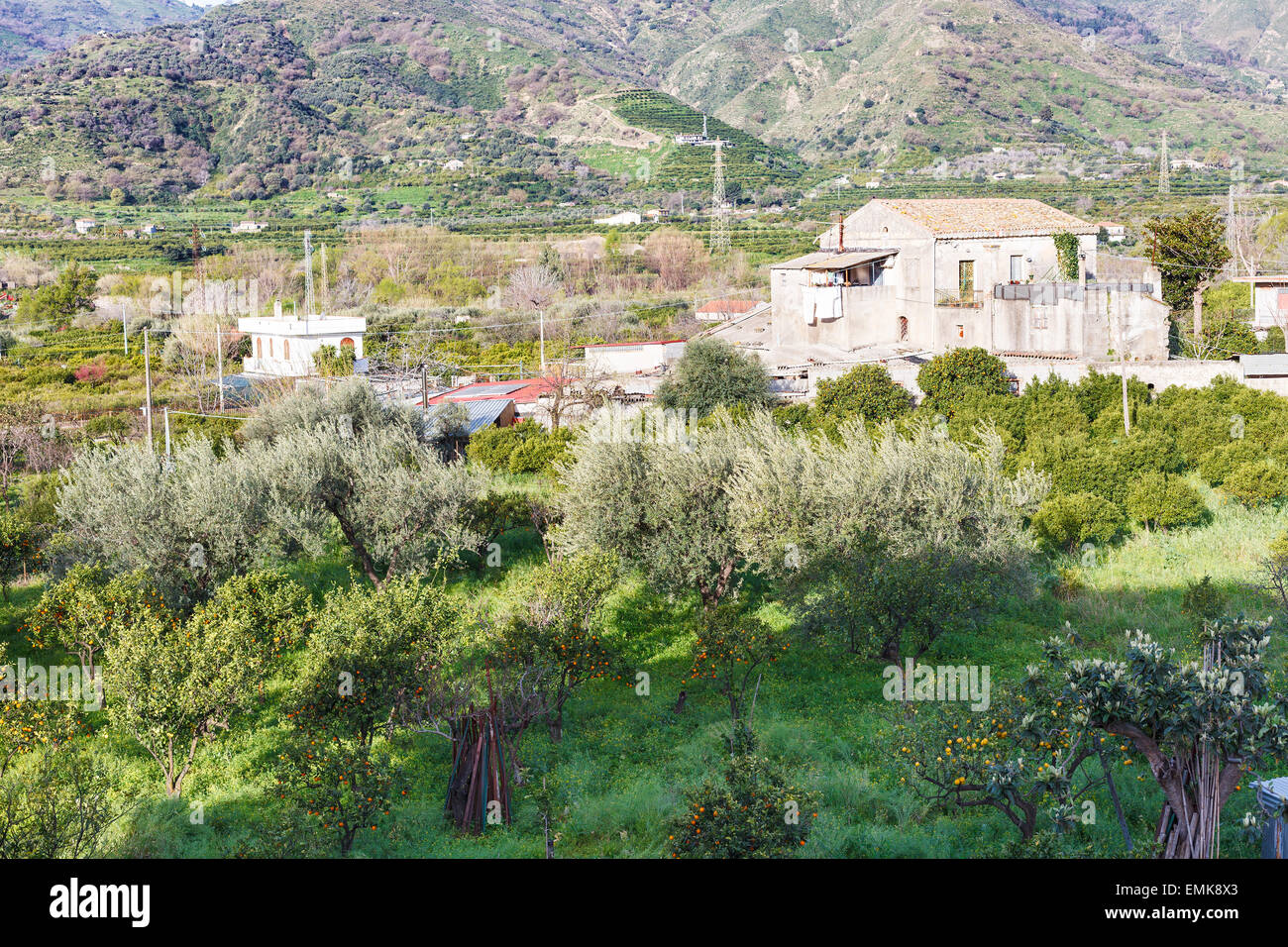 Citrus Orcahard im Hinterhof des städtischen Haus am Rande der Stadt Gaggi in grünen Hügeln im Frühling Tag, Sizilien, Italien Stockfoto