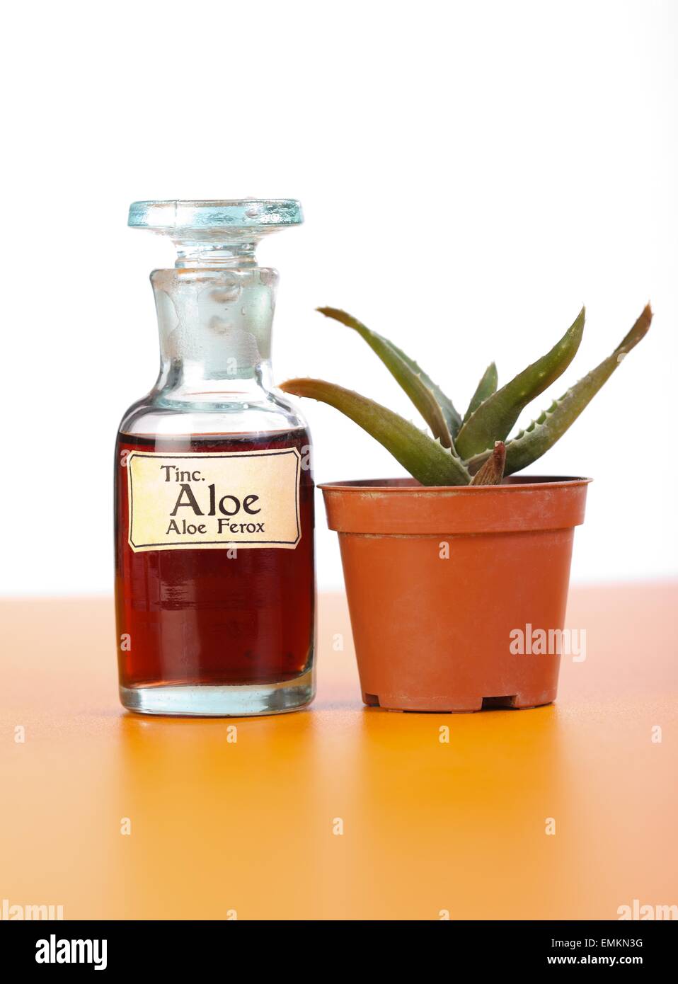 Aloe Ferox Pflanze im Topf und Extrakt in Flasche Stockfoto