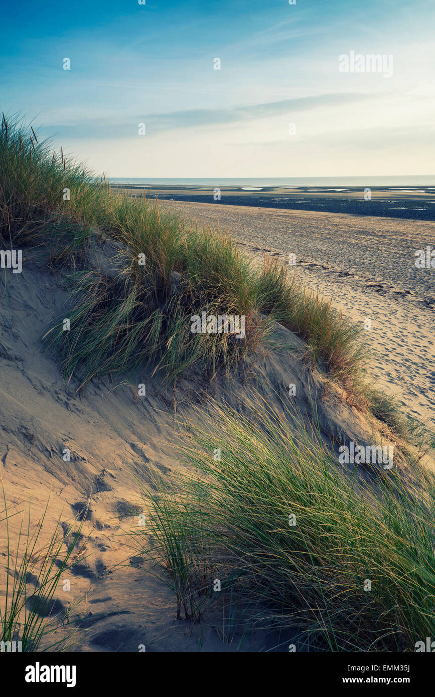 Am Abend Sommerlandschaft über grasbewachsenen Sanddünen am Strand mit Instagram Effektfilter Stockfoto