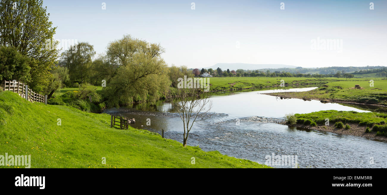 Großbritannien, England, Lancashire, Ribble Valley, Ribchester, Fluss Ribble, Panorama Stockfoto