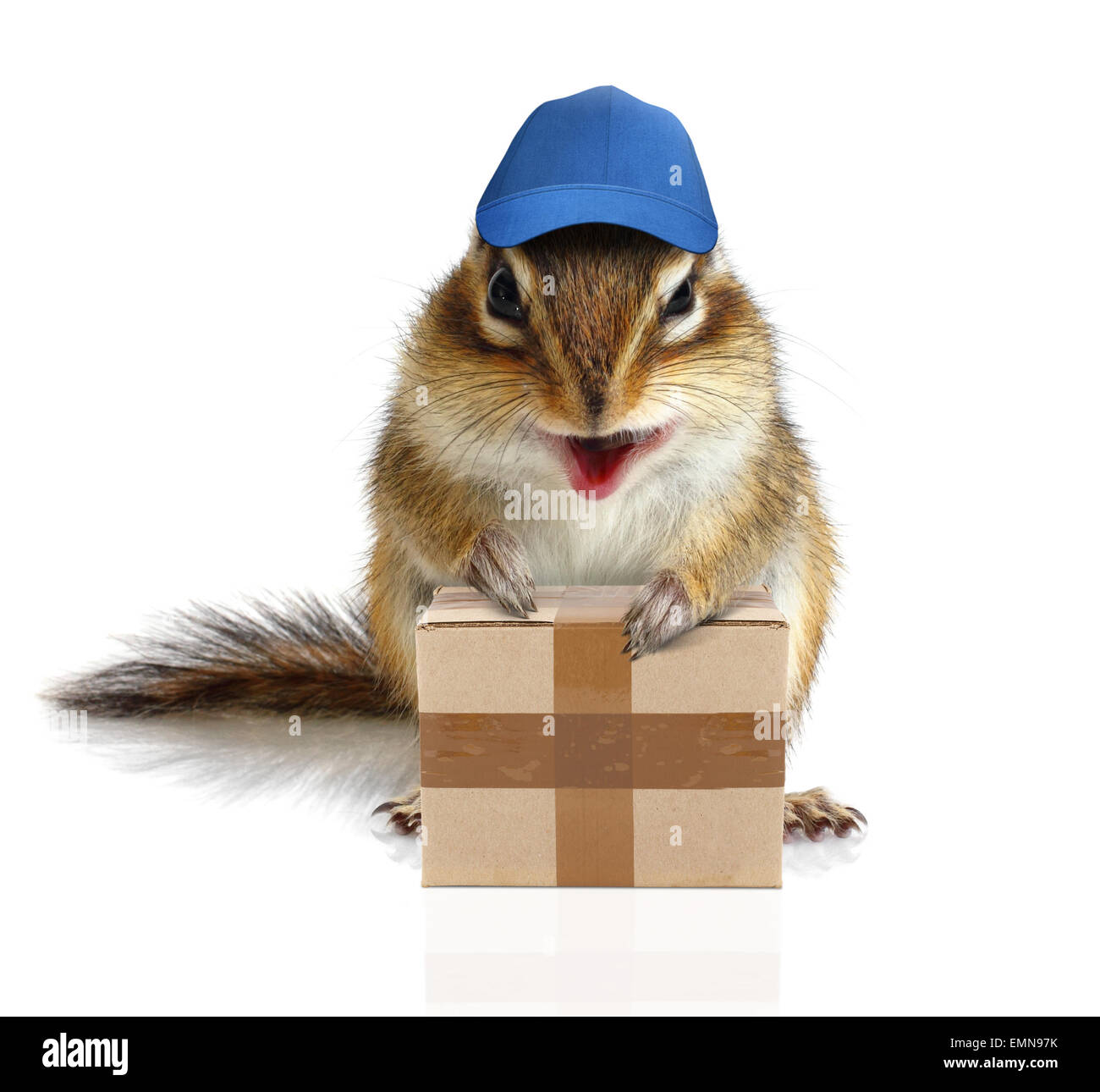 komische Streifenhörnchen Kurier halten Paket, Lieferung Konzept Stockfoto