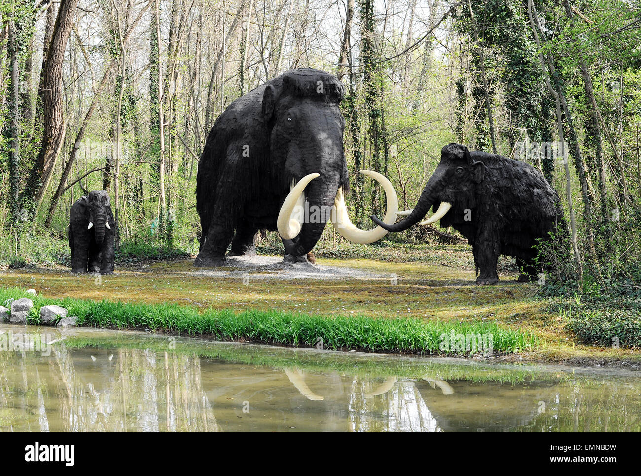 Wooly Mammoth-Familie in der Nähe von Wasser Stockfoto