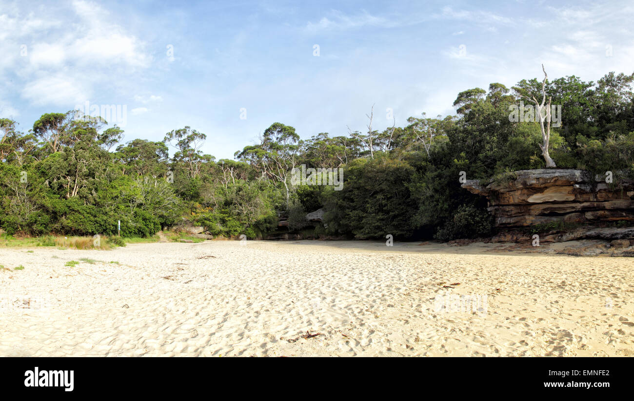 Collins Beach im Frühjahr Cove in Manly, Sydney, Australien. Stockfoto