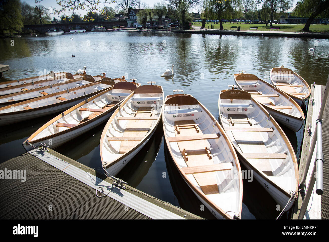 Ruderboote zu mieten am Fluss Avon in Stratford-upon-Avon, Warwickshire, UK Stockfoto