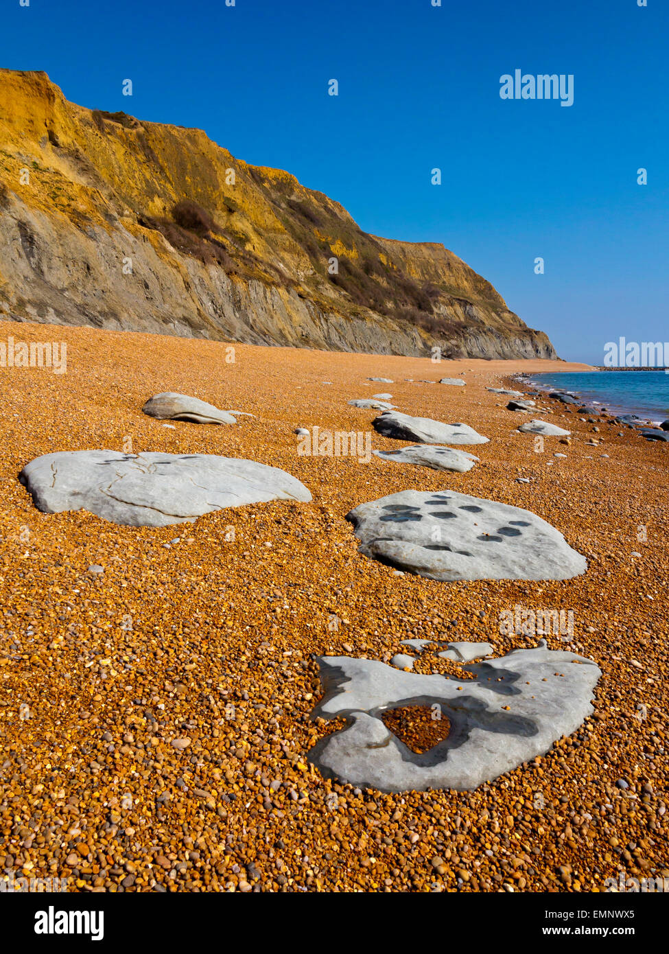 Blick, Blick nach Osten auf den Kiesstrand am einladendsten an der Jurassic Coast in West Dorset England UK Stockfoto