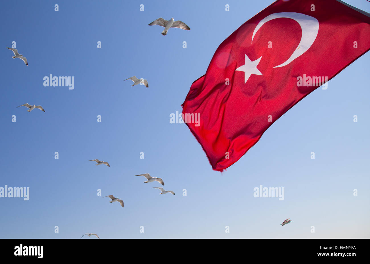Türkische Flagge Stockfoto