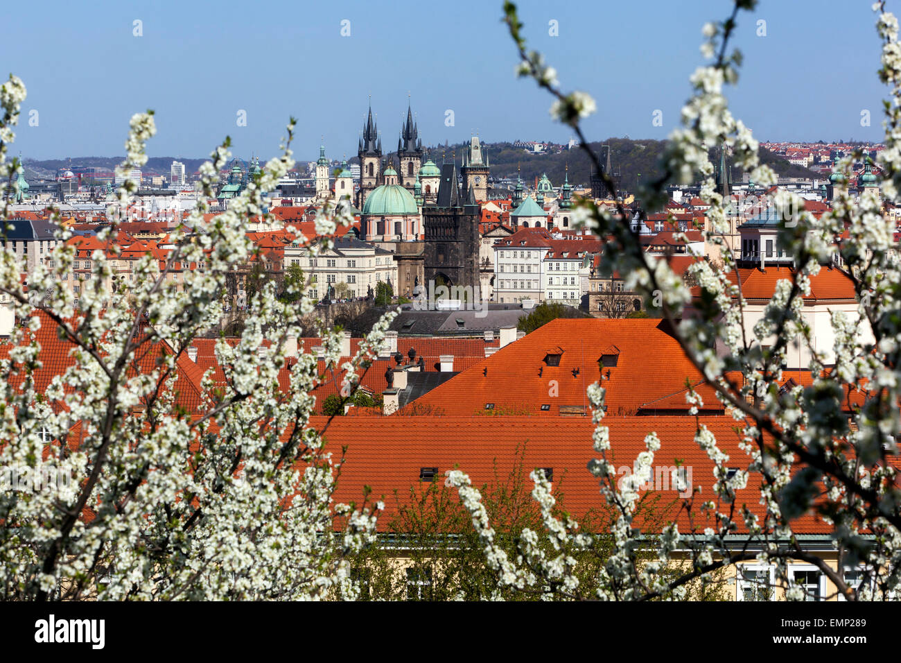 Panorama von Prag, Blick vom Petrin-Hügel blühen, UNESCO-Stadt Tschechien Stockfoto