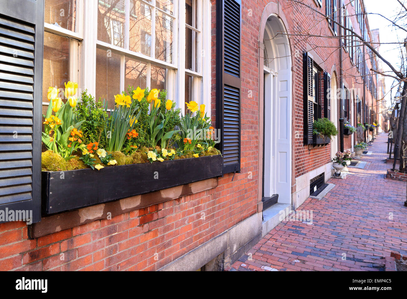 Boston Massachusetts Beacon Hill Ziegel Bürgersteig mit Haustür und Blumen im Fenster. Stockfoto