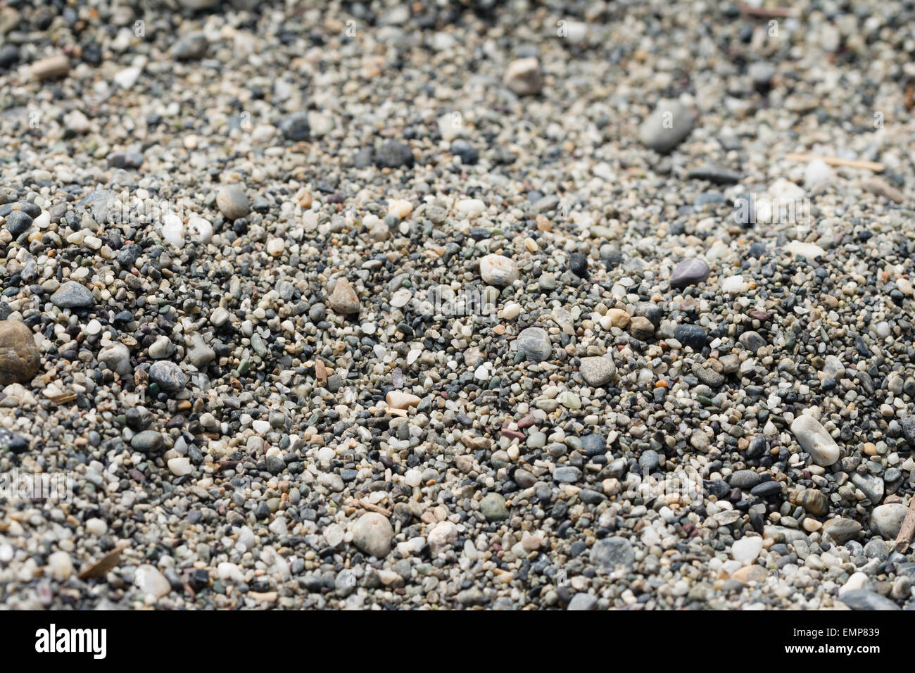 Viele kleine Kieselsteine am Strand. Stockfoto
