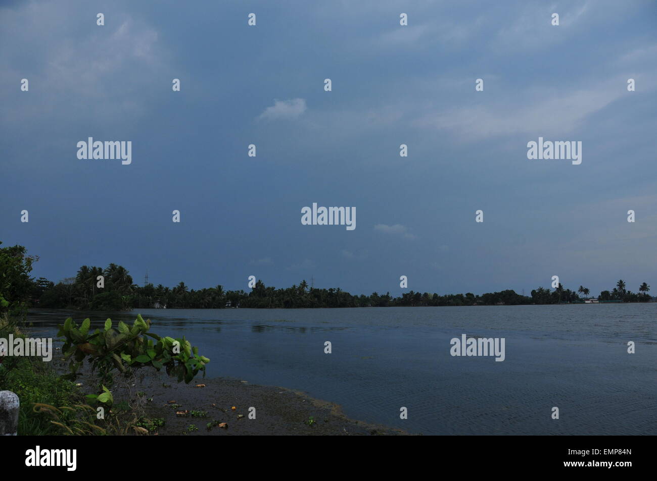 Wunderschöne Aussicht auf Nebengewässer und Kokospflanzen Stockfoto