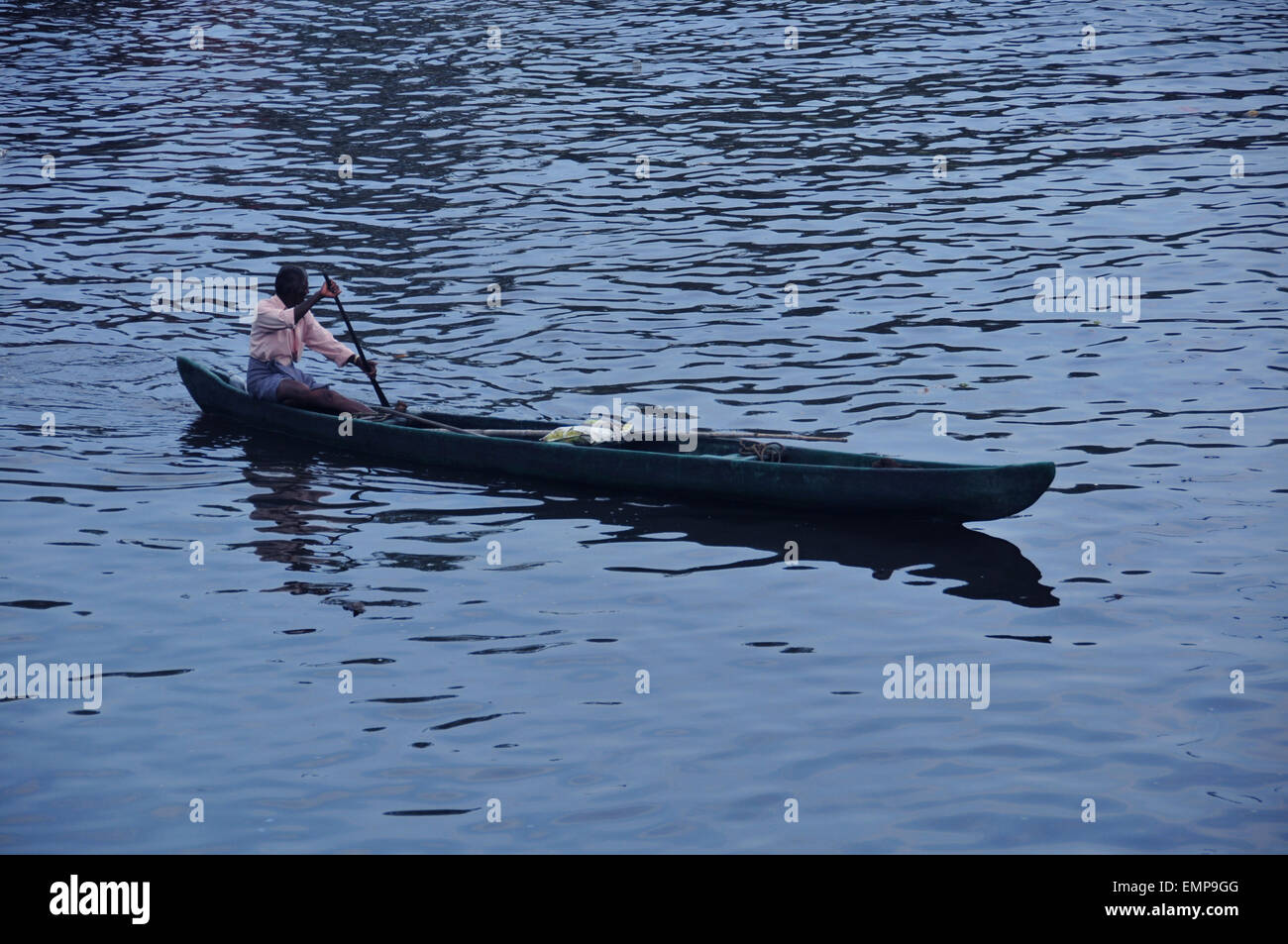 Wunderschöne Aussicht auf Nebengewässer und Kokospflanzen Stockfoto