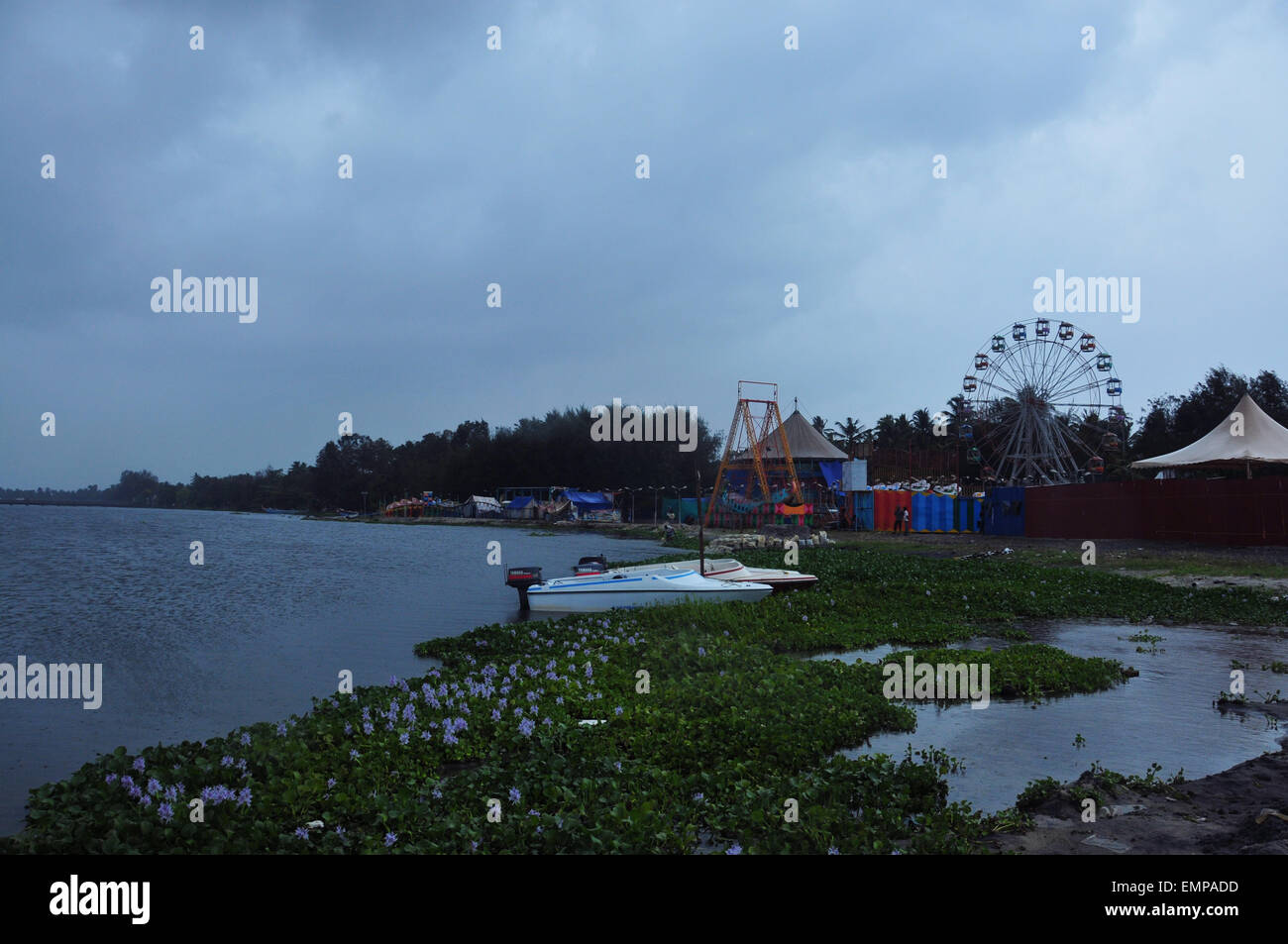 Wunderschöne Aussicht auf Nebengewässer und Kokospflanzen Stockfoto