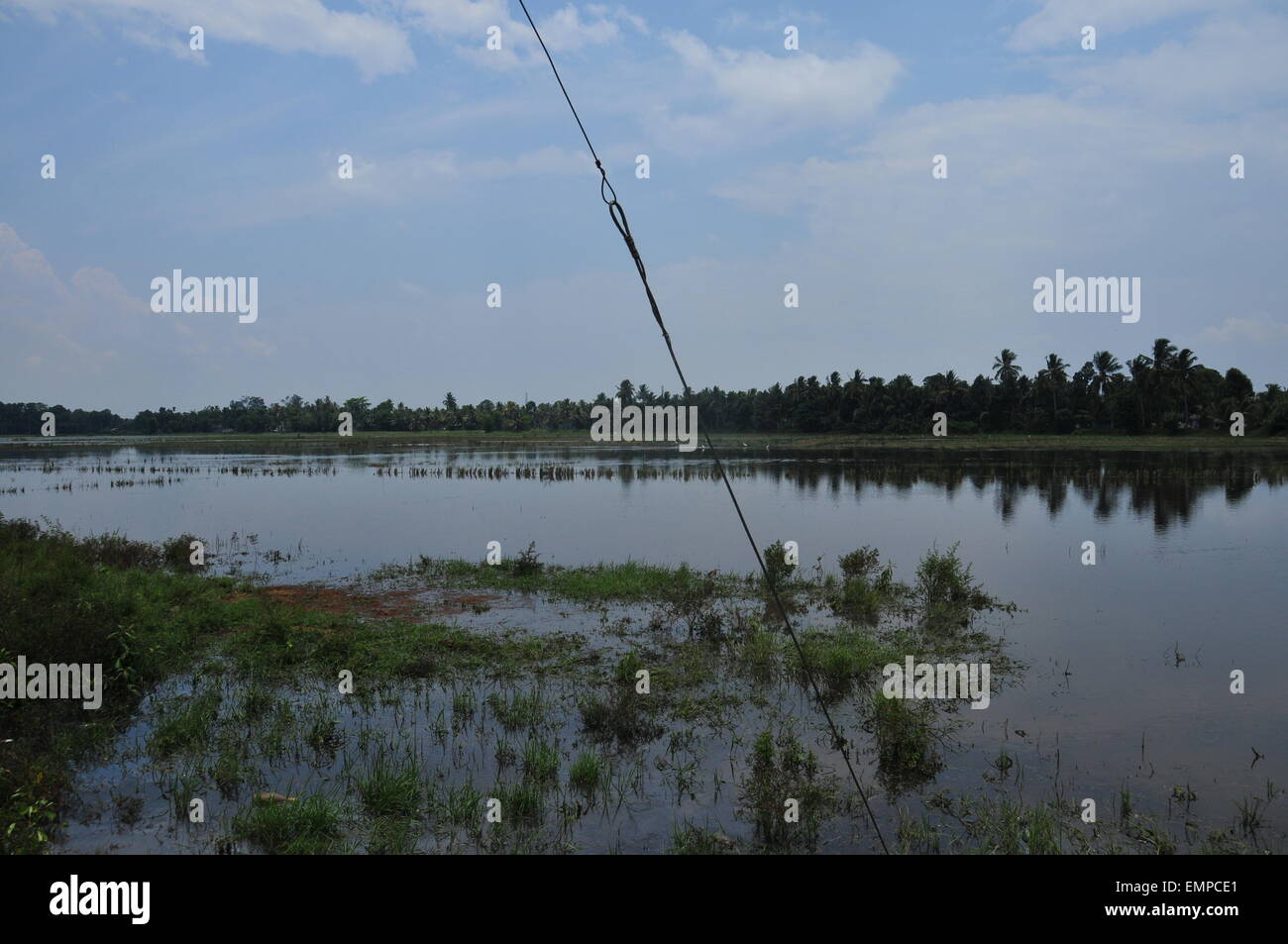 Wunderschöne Aussicht auf Nebengewässer und Kokospflanzen Stockfoto