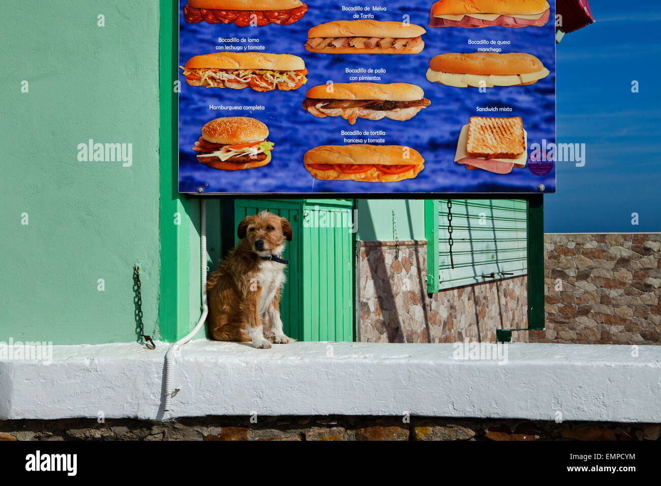 Ein Hund sitzt vor einem Plakat mit Snacks, Algeciras, Andalusien, Spanien Stockfoto