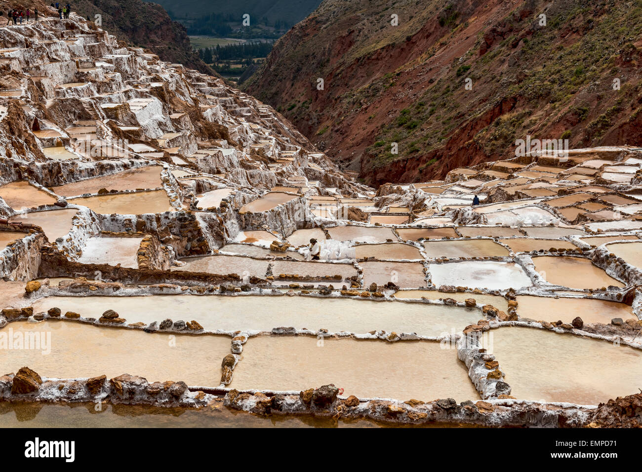 Salinen von Maras, Heilige Tal der Inkas, Urubamba, Peru Stockfoto