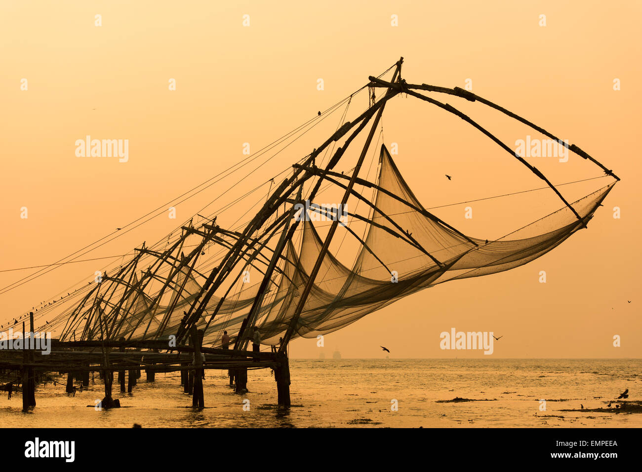 Chinesische Fischernetze, Sonnenuntergang, Arabisches Meer Küste, Fort Kochi, Kerala, Südindien, Indien Stockfoto