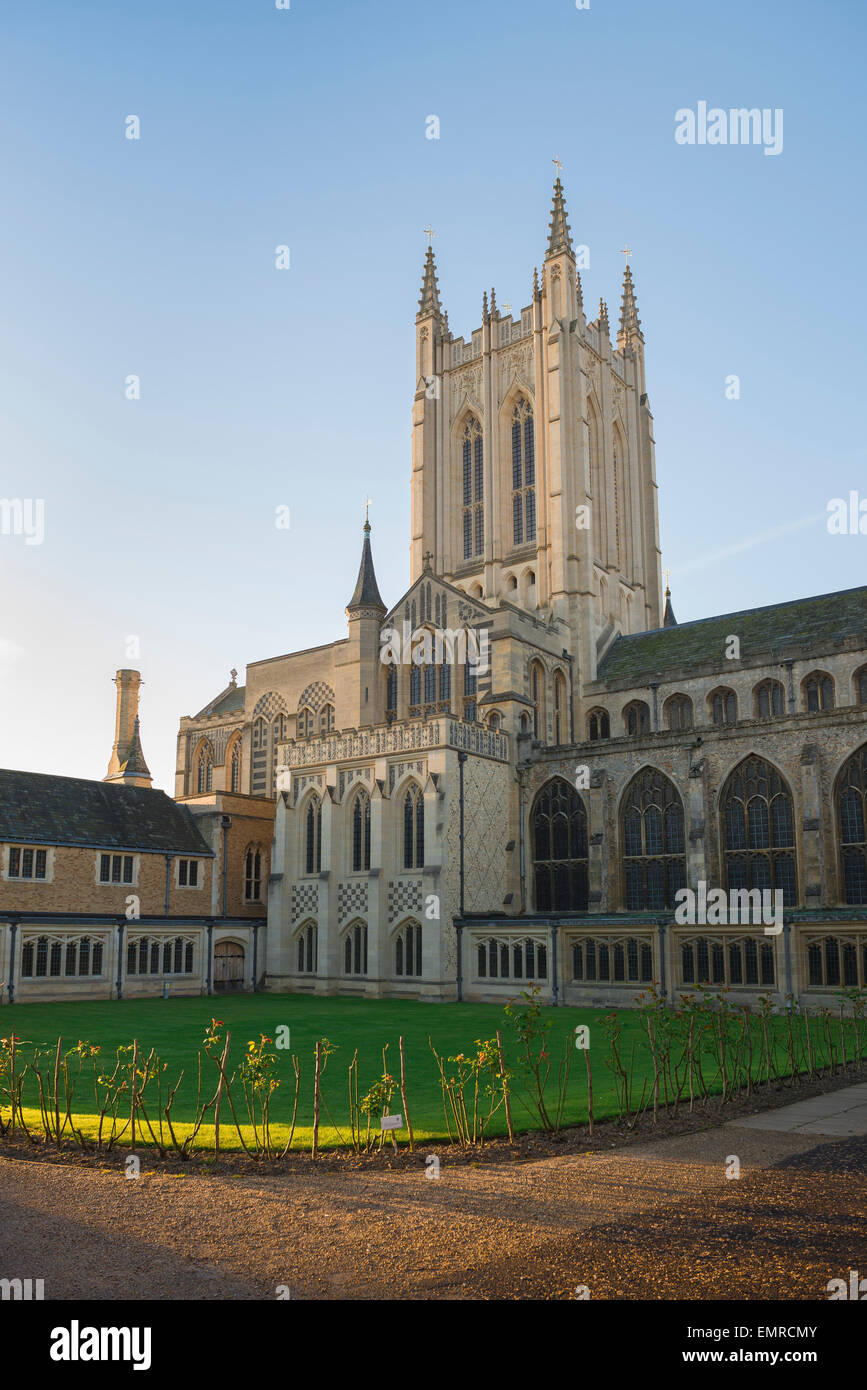 Cathedral Tower England, Blick auf den Refektory Garden und den Turm von St. Edmundsbury (St. James) Cathedral, Bury St. Edmunds, Suffolk UK. Stockfoto