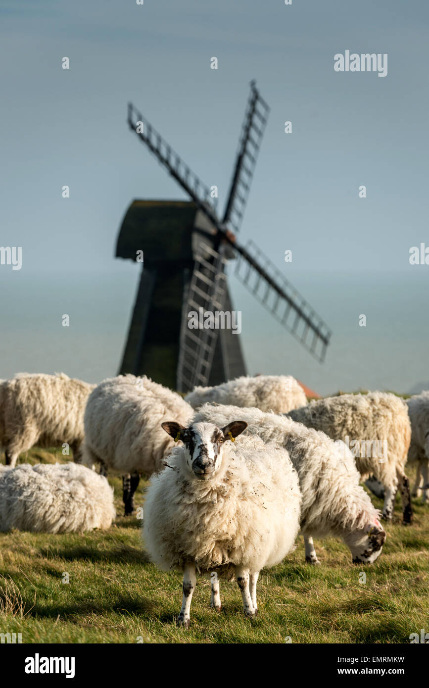 Leuchtfeuer-Mühle bei Rottingdean. Stockfoto