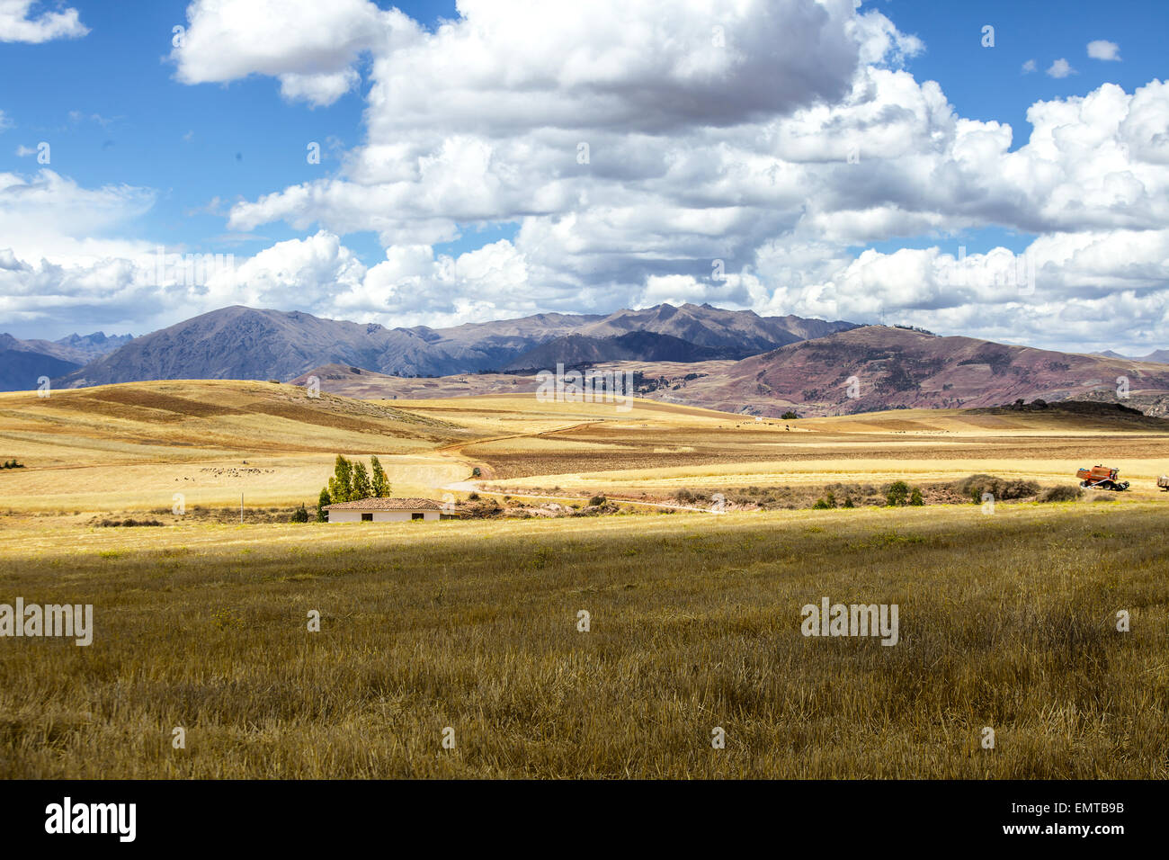 Landschaft mit Weizen im Heiligen Tal in der Nähe von Urubamba in Peru Stockfoto