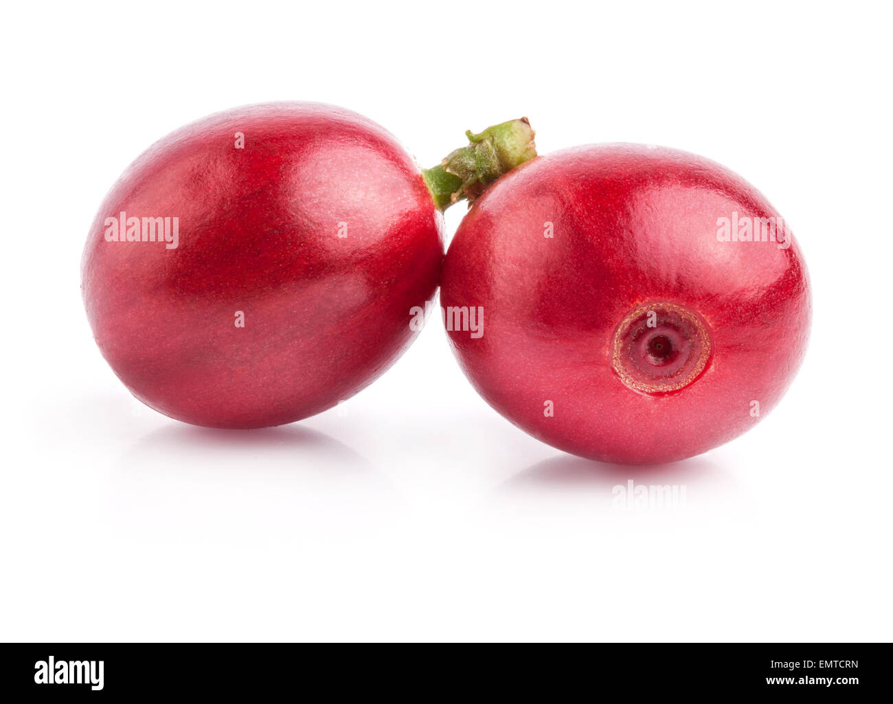 Rote Bohnen isoliert auf weißem Hintergrund Stockfoto