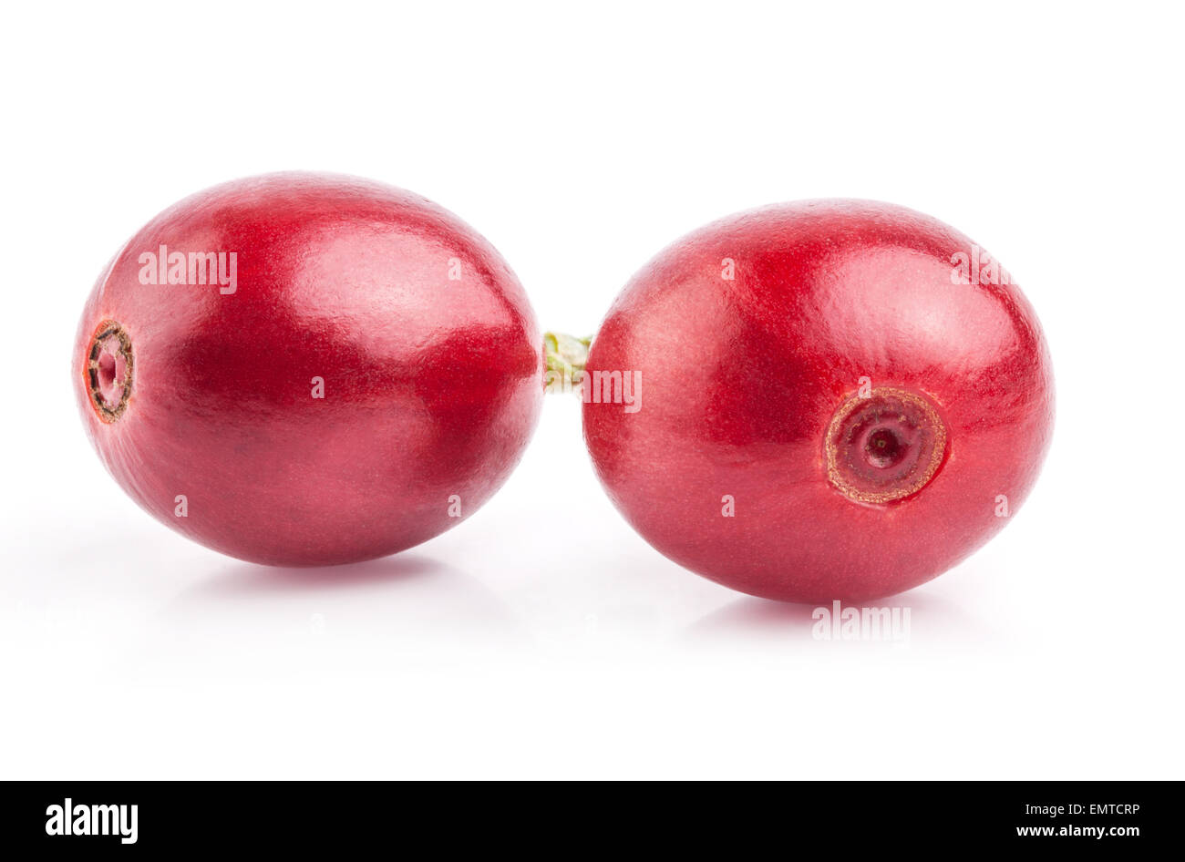 Rote Bohnen isoliert auf weißem Hintergrund Stockfoto