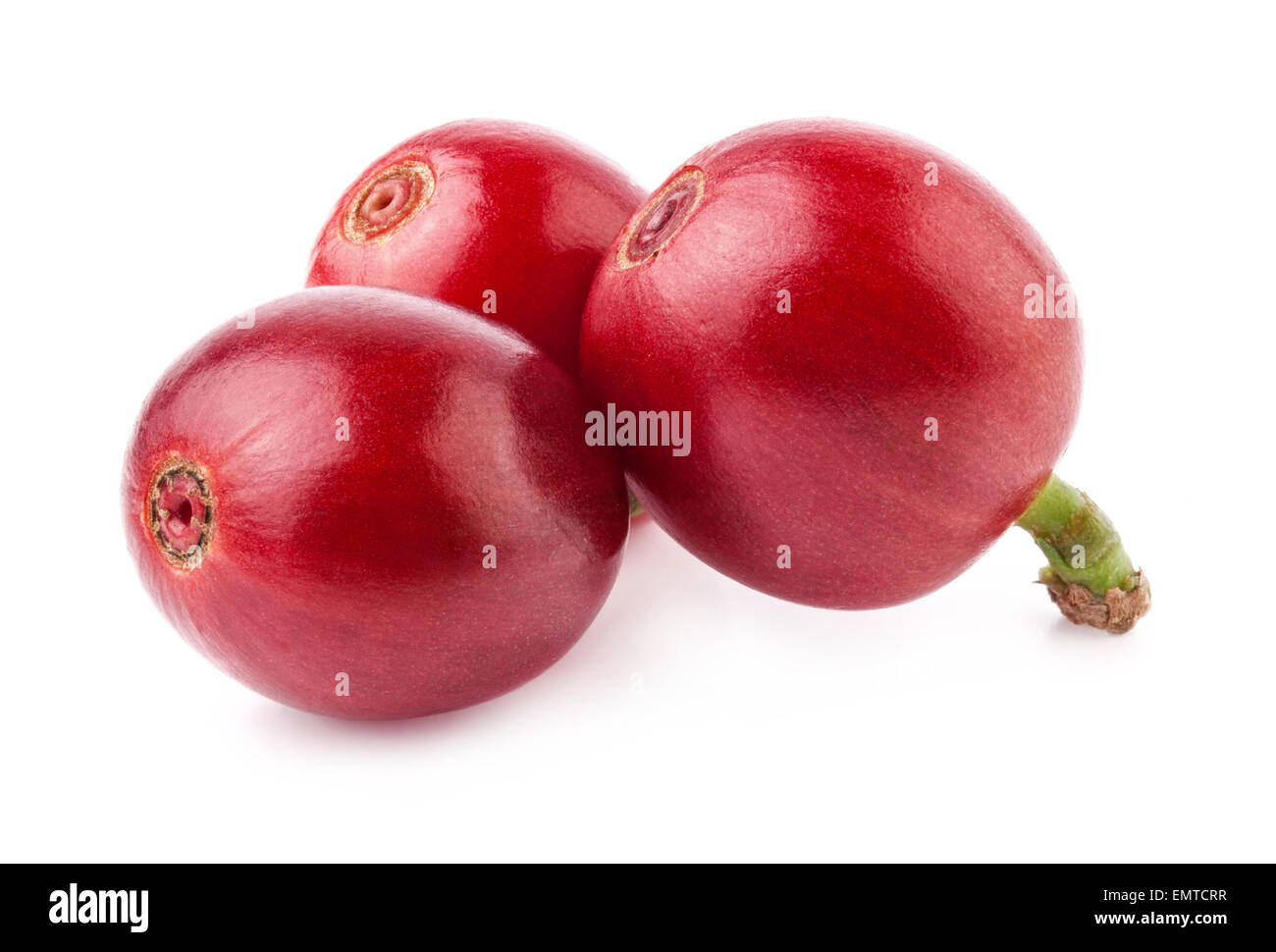 Rote Bohnen isoliert auf weißem Hintergrund Stockfoto
