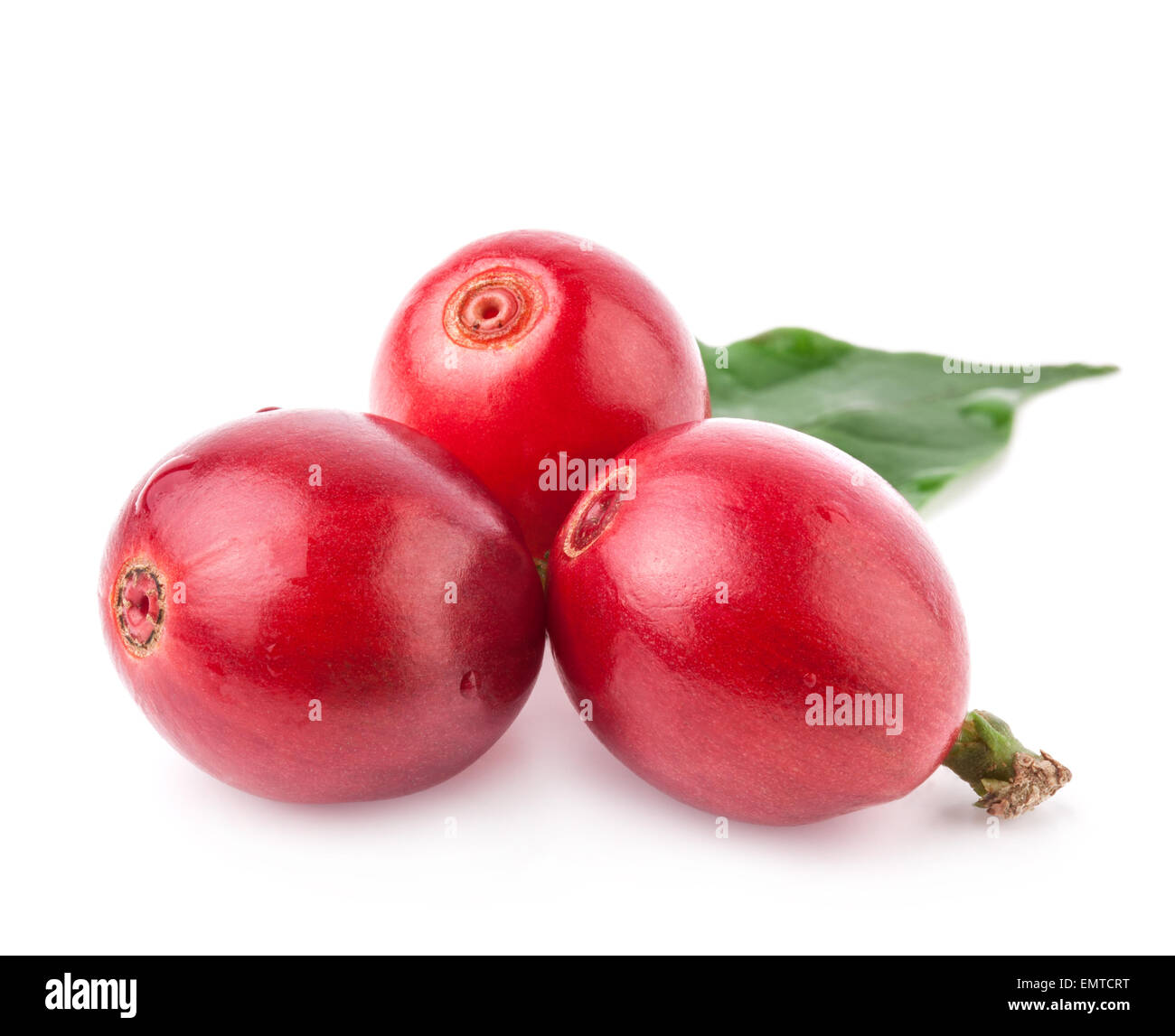 Rote Bohnen isoliert auf weißem Hintergrund Stockfoto