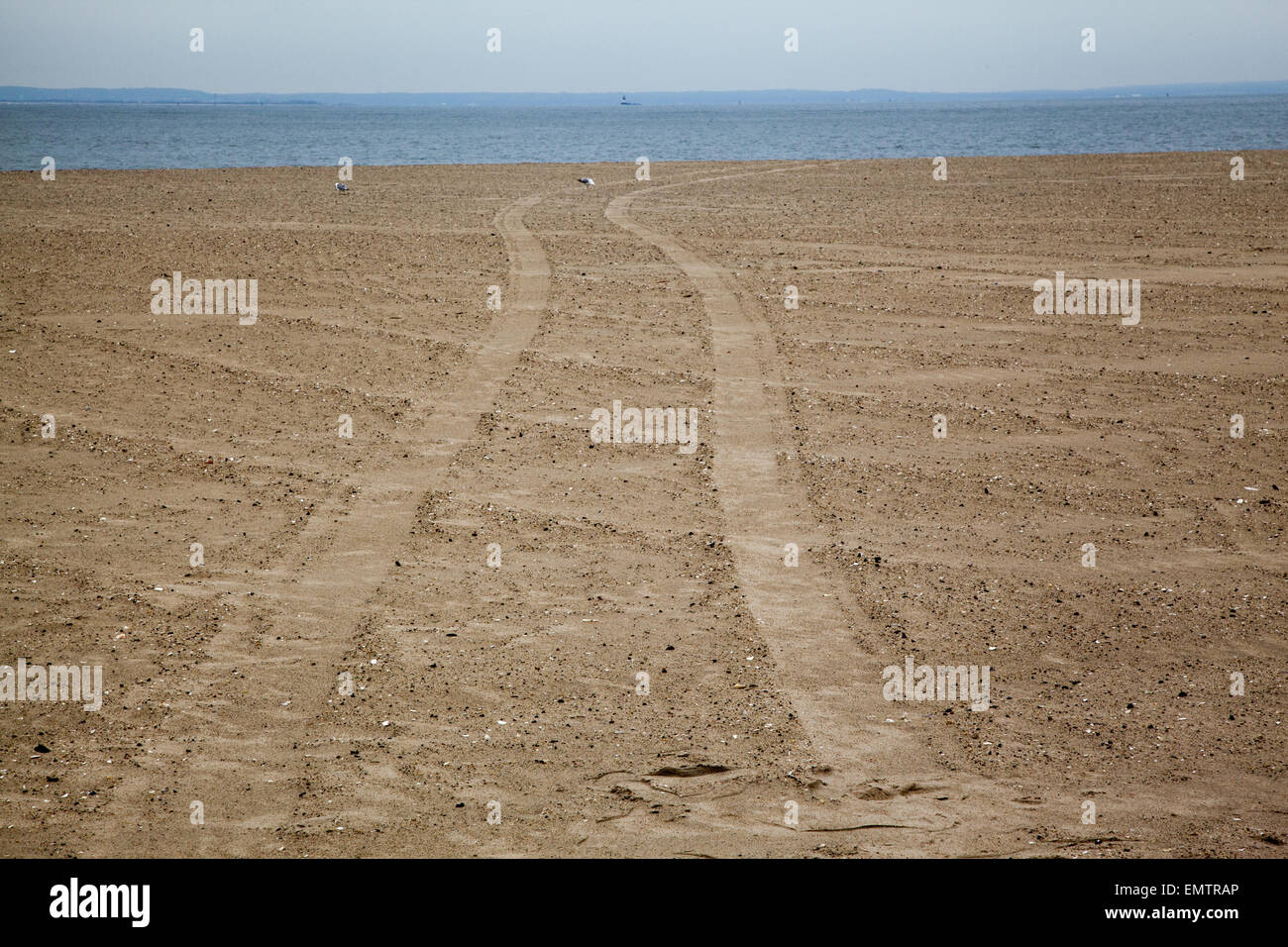 Reifenspuren im Sand am Strand von Coney Island am Atlantischen Ozean in Brooklyn, New York. Stockfoto