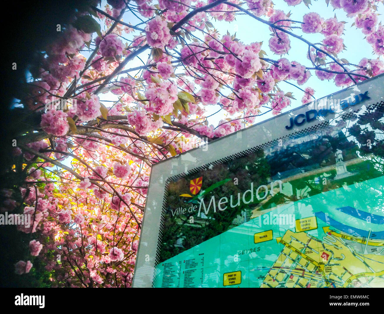 Meudon, Frankreich, Paris Vororten, Detail Ortstafel mit Karte, Kirschbaum in voller Blüte im Frühjahr, Landschaften Stockfoto