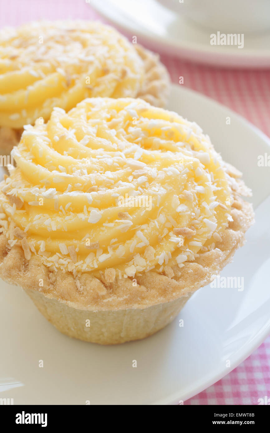 Manchester-Torten Gebäck Fällen gefüllt mit Marmelade und Eiercreme bestäubt mit Kokos-Flocken Stockfoto