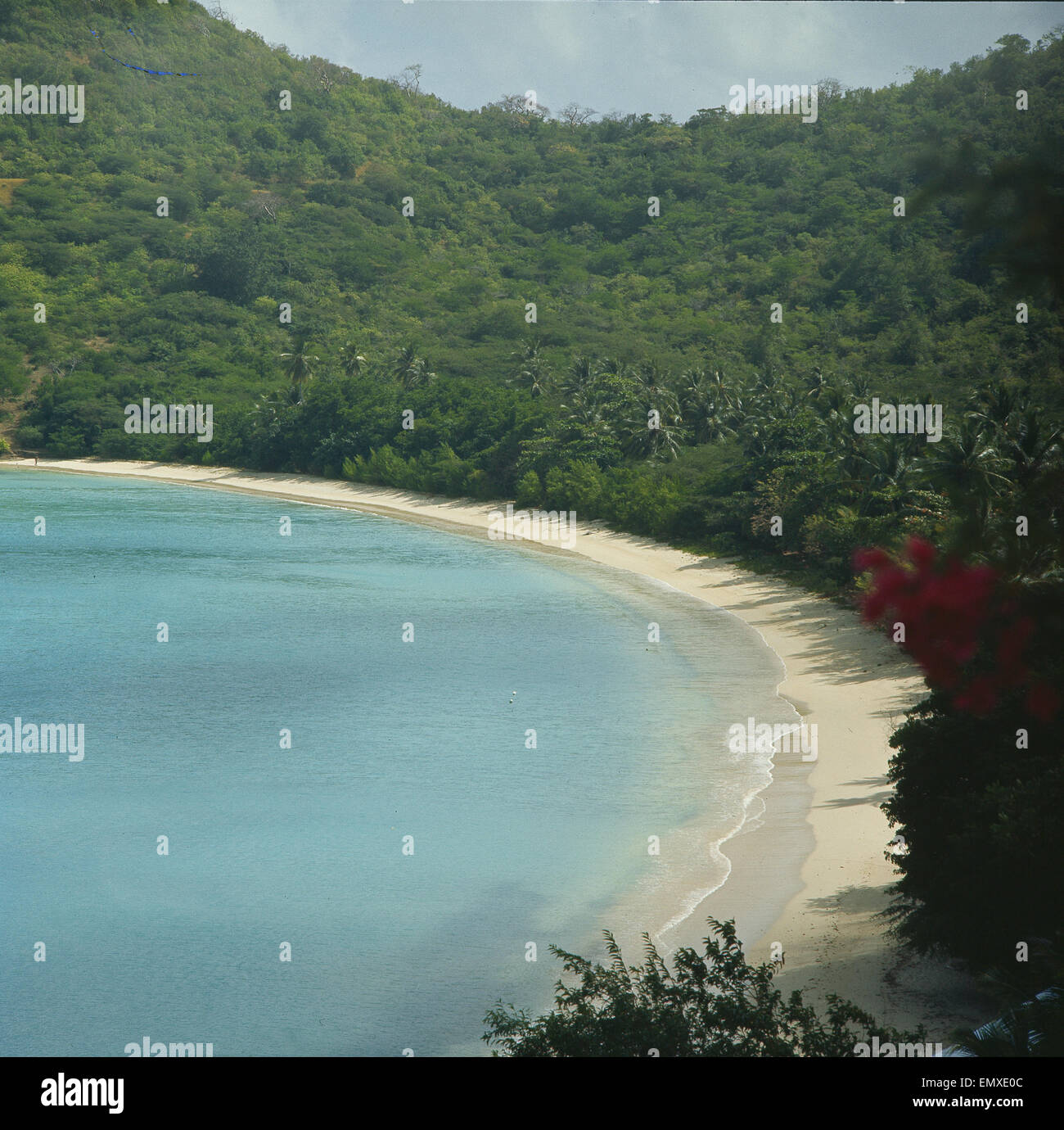Karibische See, Grenada, Morne Rouge Bay Stockfoto