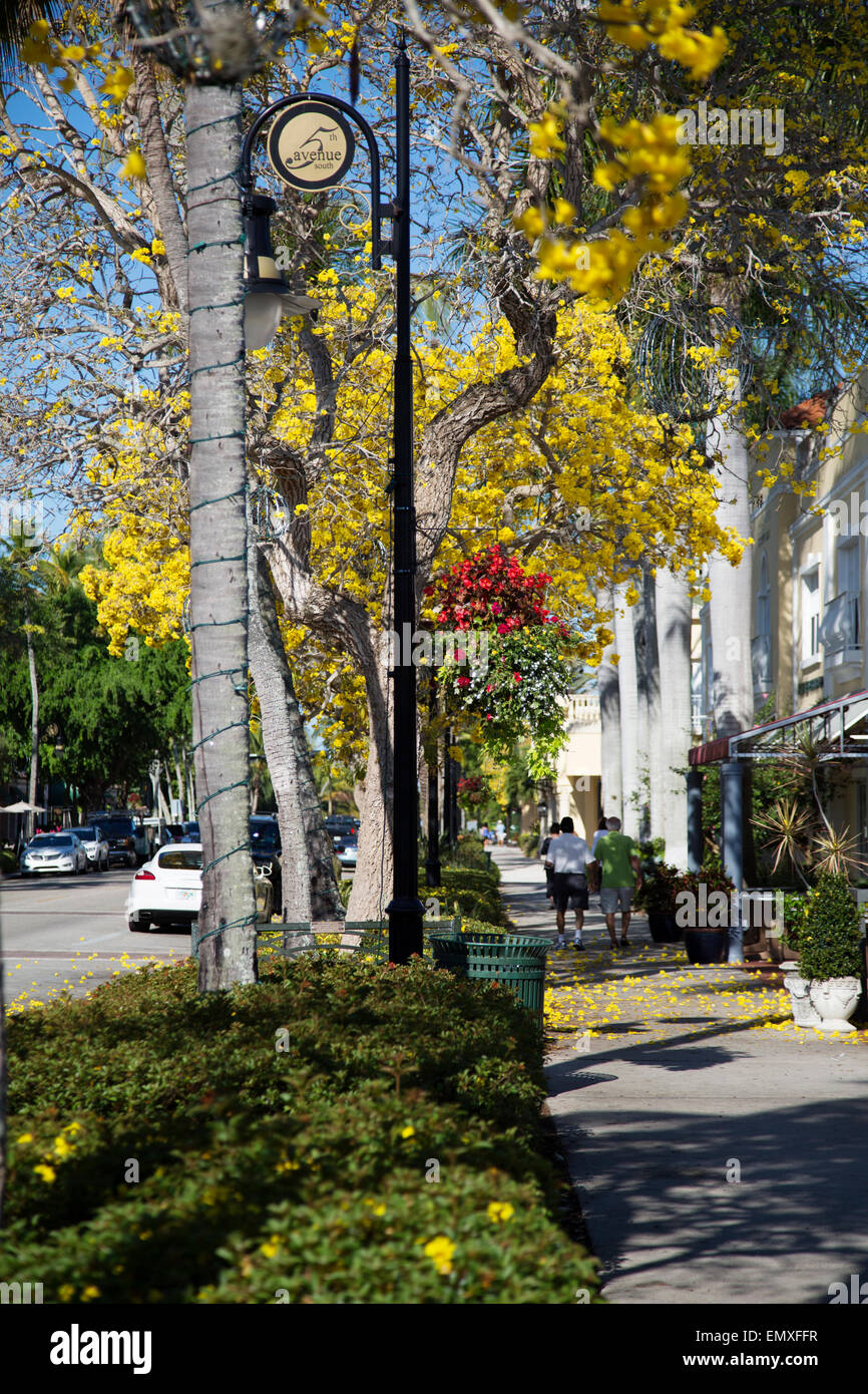 Blick auf die 5th Avenue in Old Naples Florida, Frühjahr Stockfoto