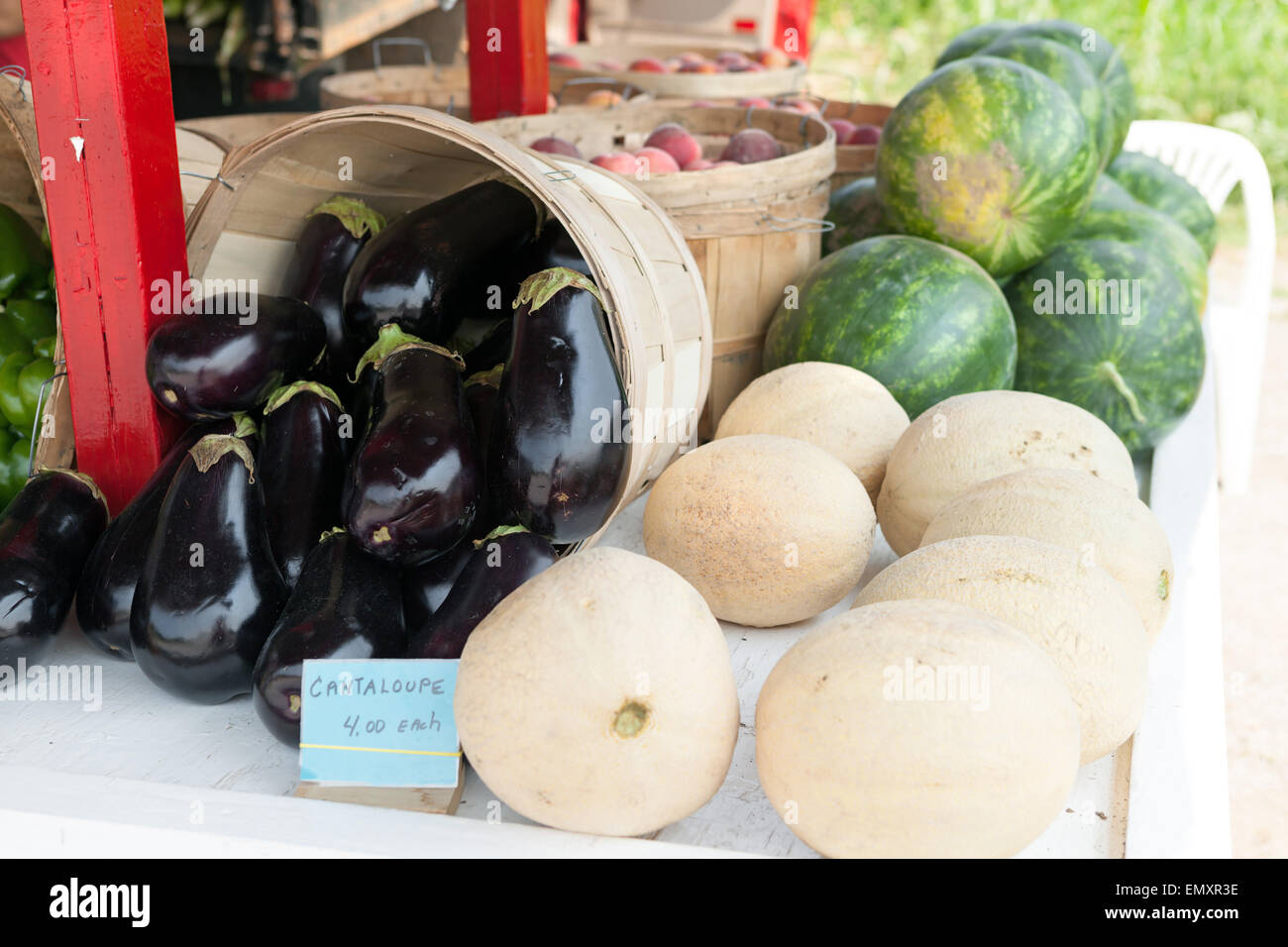 Bauernmarkt Melonen Stockfoto