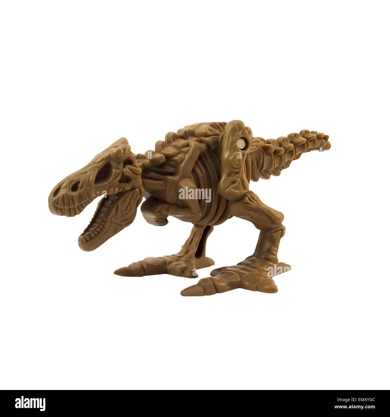 Skelett Dinosaurier. Isolierte Skelett Spielzeug Tyrannosaurus Winkel Ansicht. Stockfoto