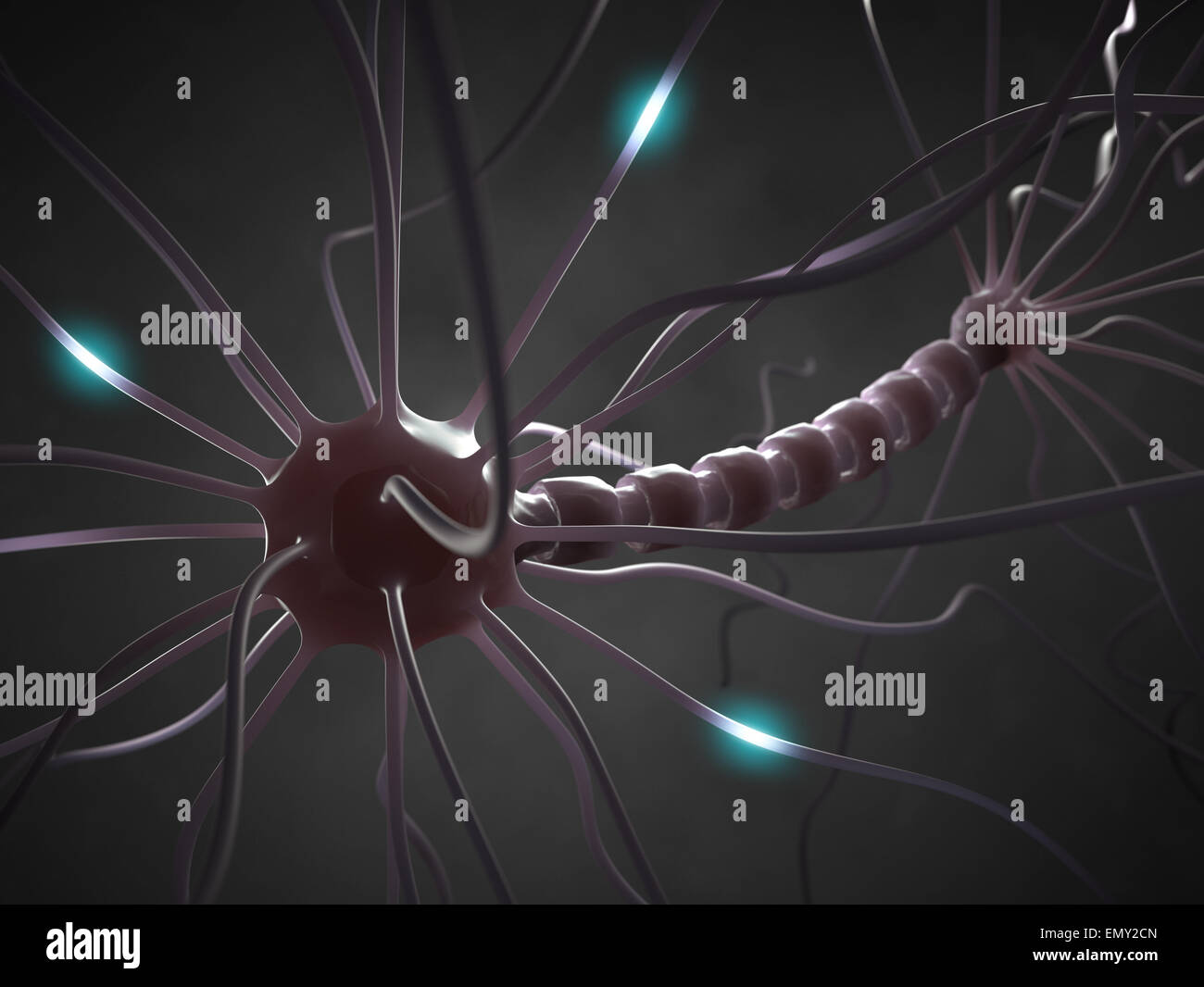 Miteinander verbundene Neuronen Informationen mit elektrischen Impulsen übertragen. Stockfoto