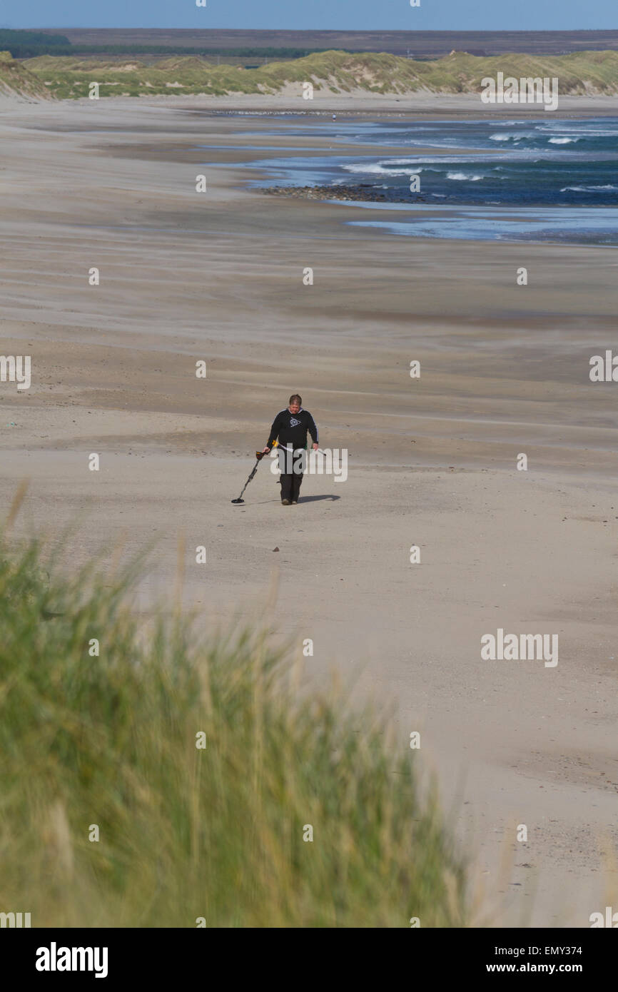 Metalldetektion entlang Sinclair Beach, Caithness Stockfoto