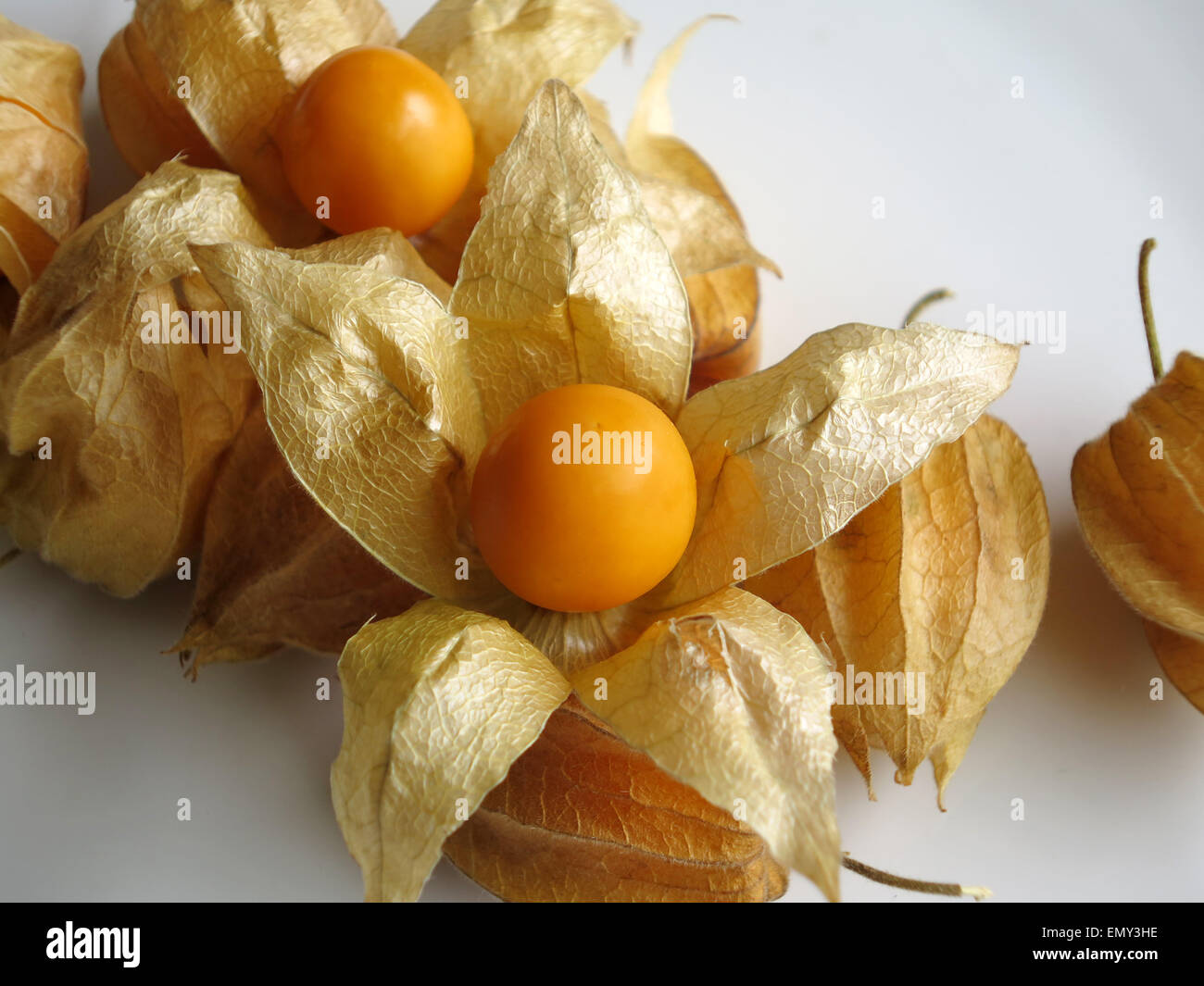 Aguaymanto, peruanische saftige Kap-Stachelbeeren Stockfoto