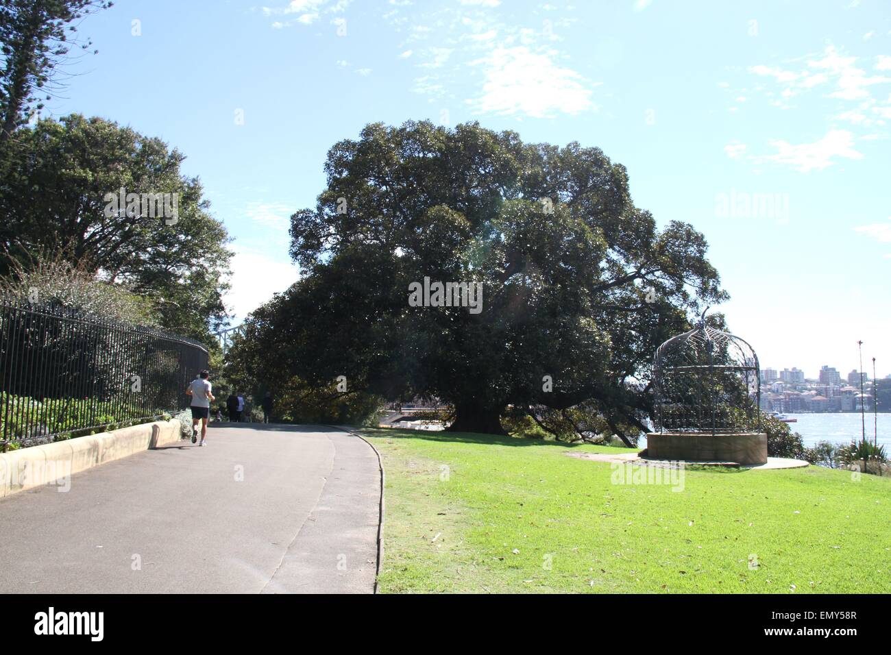 Sydney, Australien. 24. April 2015. Der Royal Botanic Garden. Bildnachweis: Richard Milnes/Alamy Stockfoto