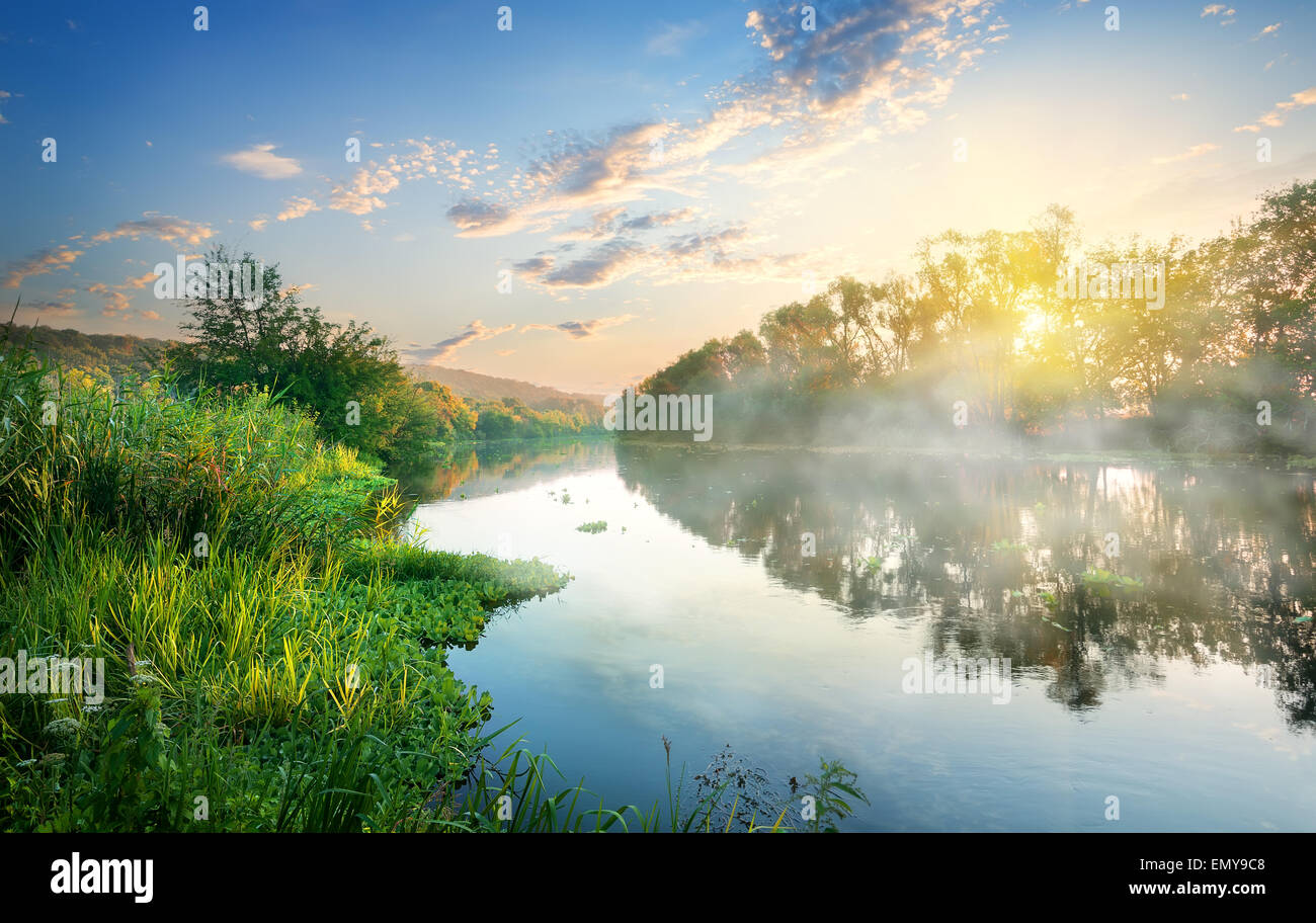 Grüne Blätter durch den Fluss am Morgen Stockfoto