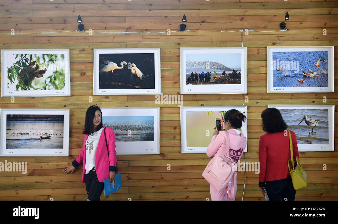 Dandong, Chinas Liaoning Provinz. 24. April 2015. Touristen besuchen eine Vögel-Fotografie-Ausstellung am Yalu-Fluss-Feuchtgebiet in Dandong, Nordost-China Liaoning Provinz, 24. April 2015. Eine Birdwatching-Festival startete am Freitag am Yalu-Fluss-Feuchtgebiet in Dandong. © Li Gang/Xinhua/Alamy Live-Nachrichten Stockfoto