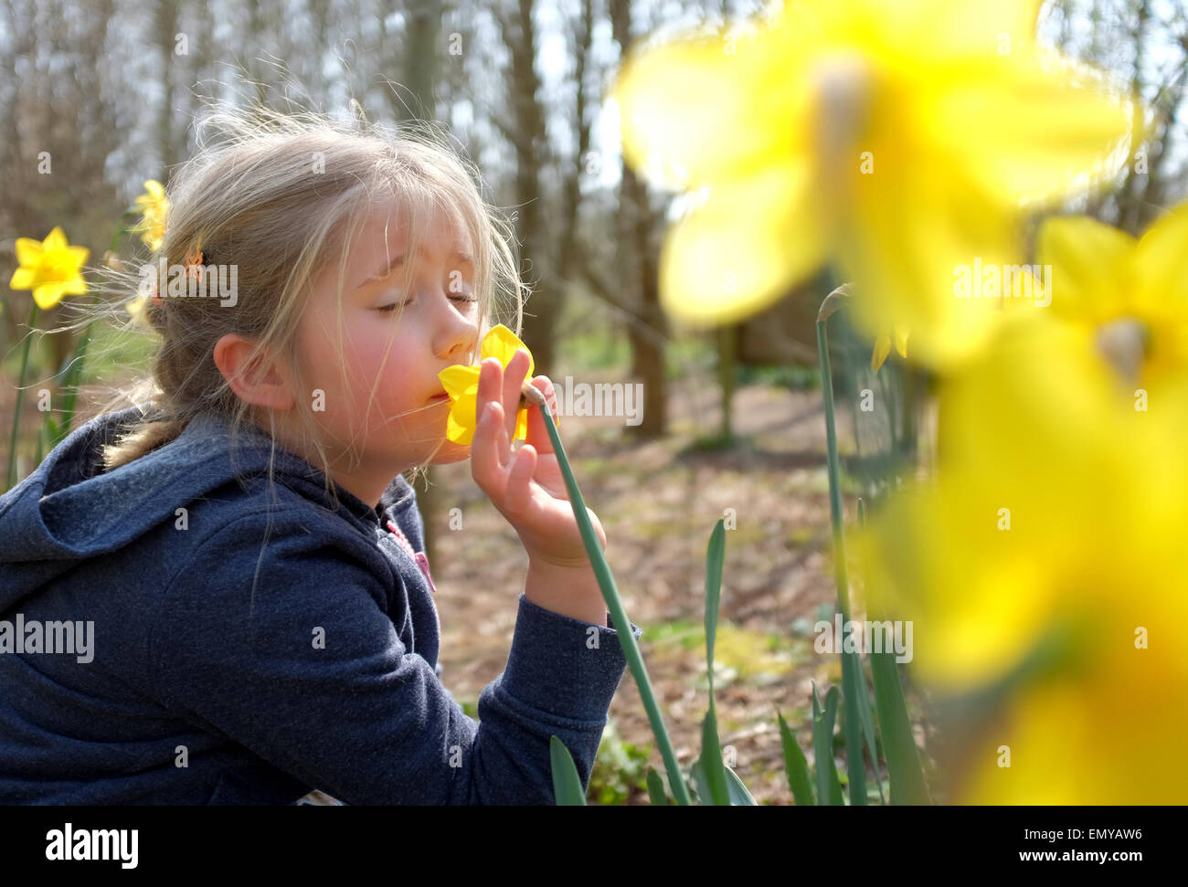 Junges Mädchen riechen Blumen Narzissen im Frühjahr Stockfoto