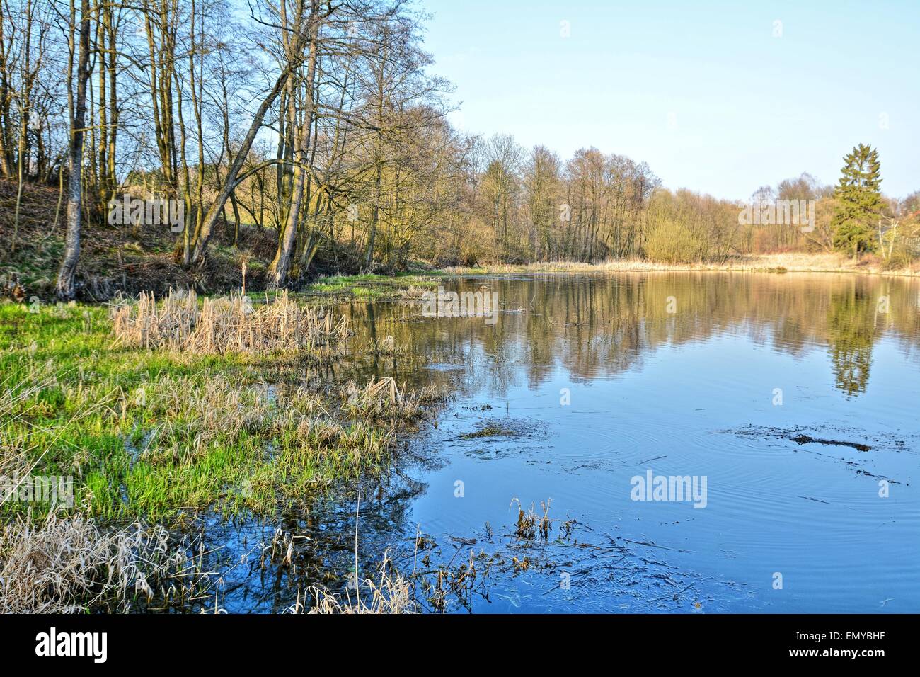 Hochland feuchtgebiete Fotos und Bildmaterial in hoher Auflösung Alamy