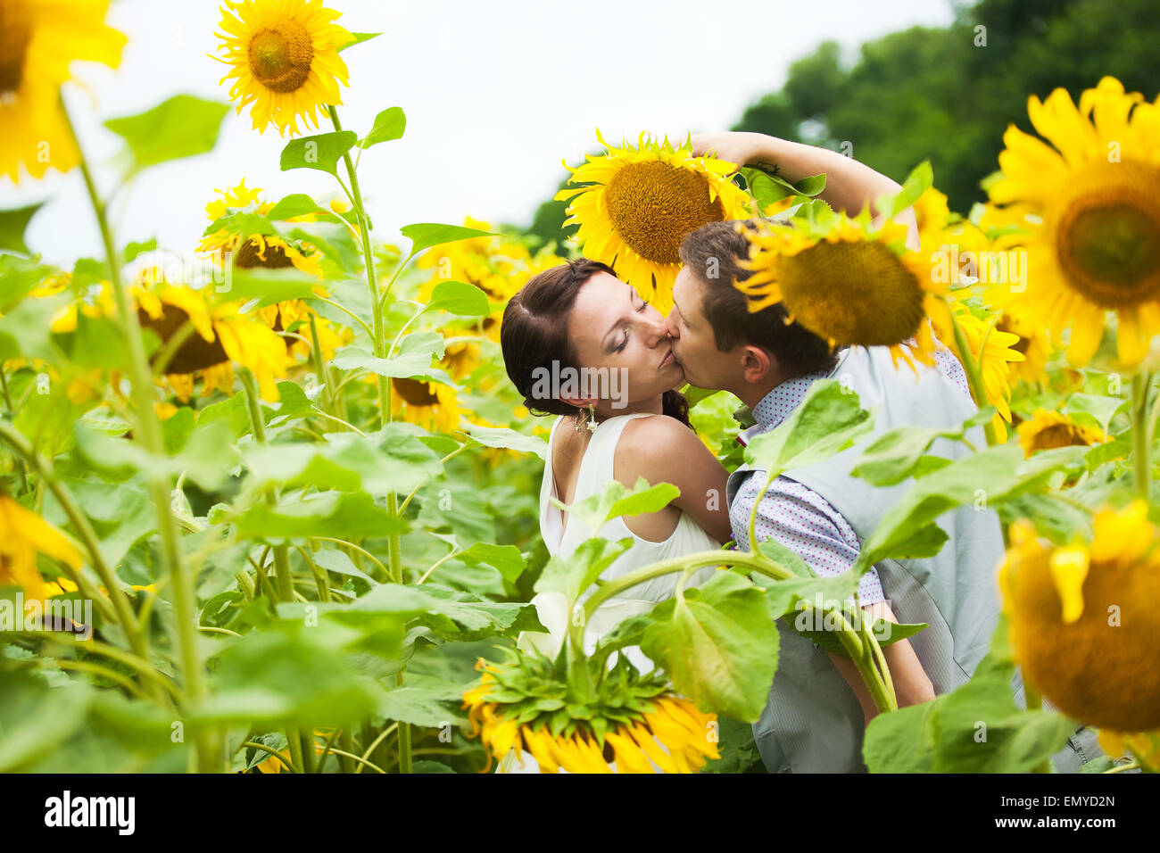 glückliches Paar in Liebe Spaß im Feld voller Sonnenblumen. Hochzeitspaar. fröhliche Frau und Mann. Liebe-Konzept. Freiheit Stockfoto