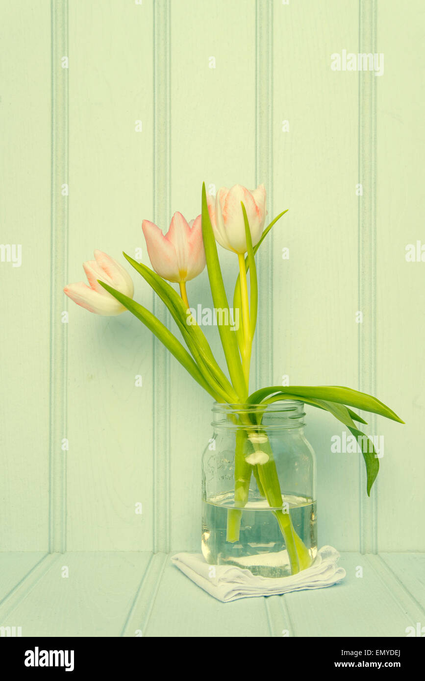 Stillleben-Bild von Frühlingsblumen mit Instagram Kreuz verarbeiteten Filter angewendet Stockfoto