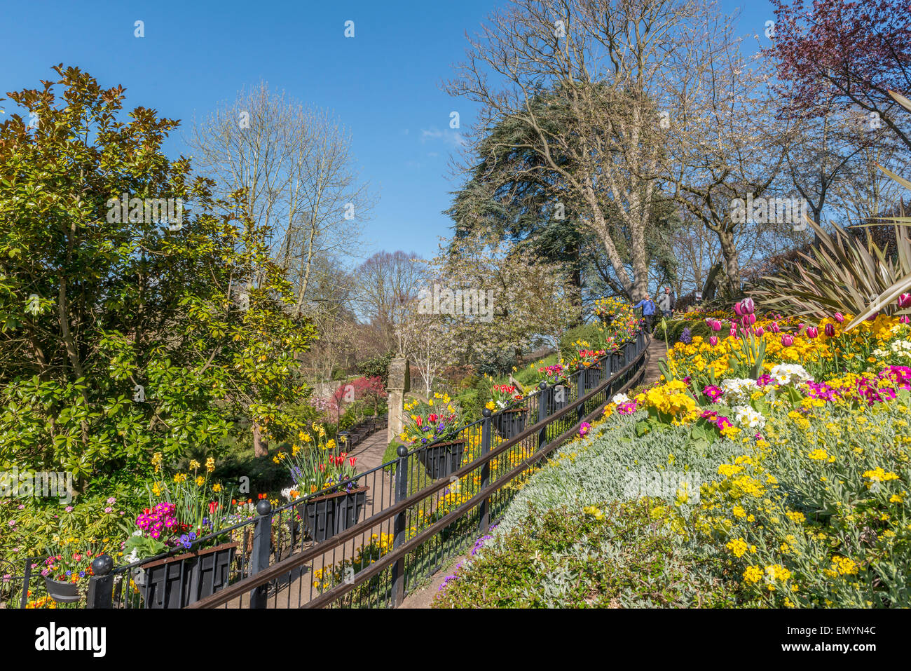 Die Dingle am Quarry Park im Frühling. Shrewsbury. Shropshire. UK Stockfoto