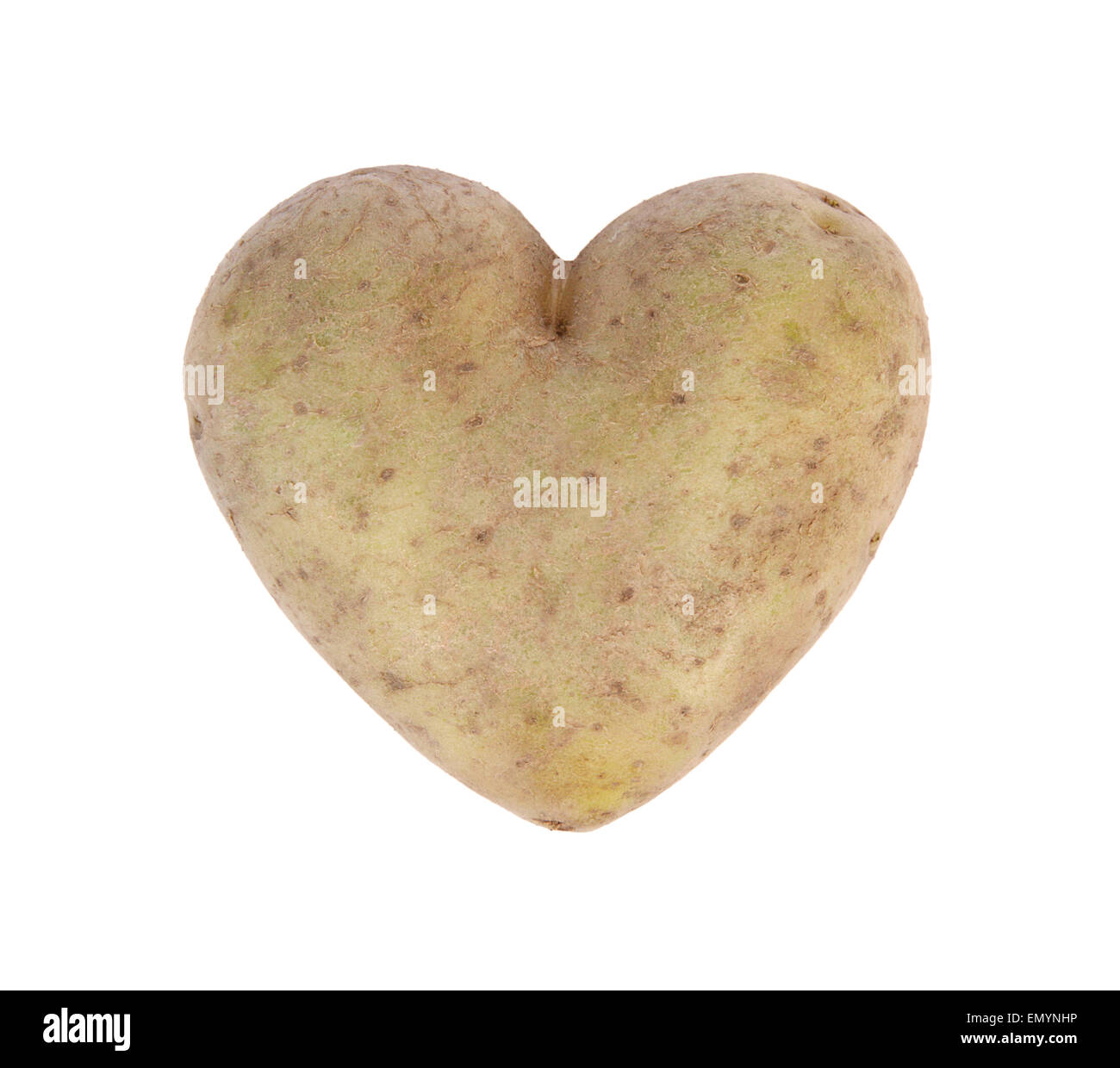 Herzförmige Kartoffeln Spud, Studio gedreht Stockfoto