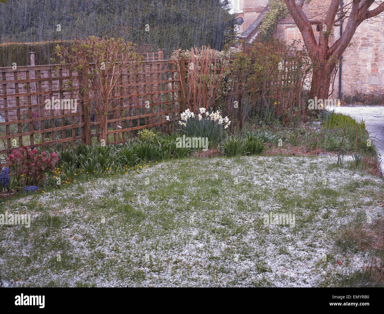 Hagelsturm in einem Dorf Garten furnished Somerset England UK Stockfoto