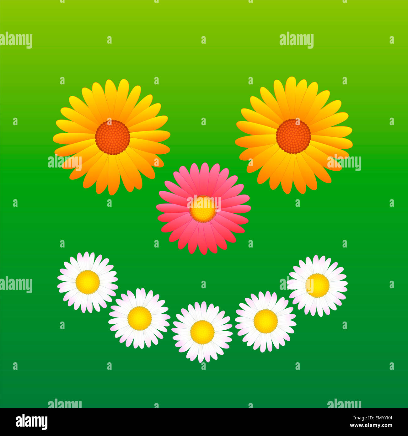 Blumen - Gänseblümchen, Aster, Margerite -, die einen sonnigen Lächeln auf den Lippen bilden. Stockfoto